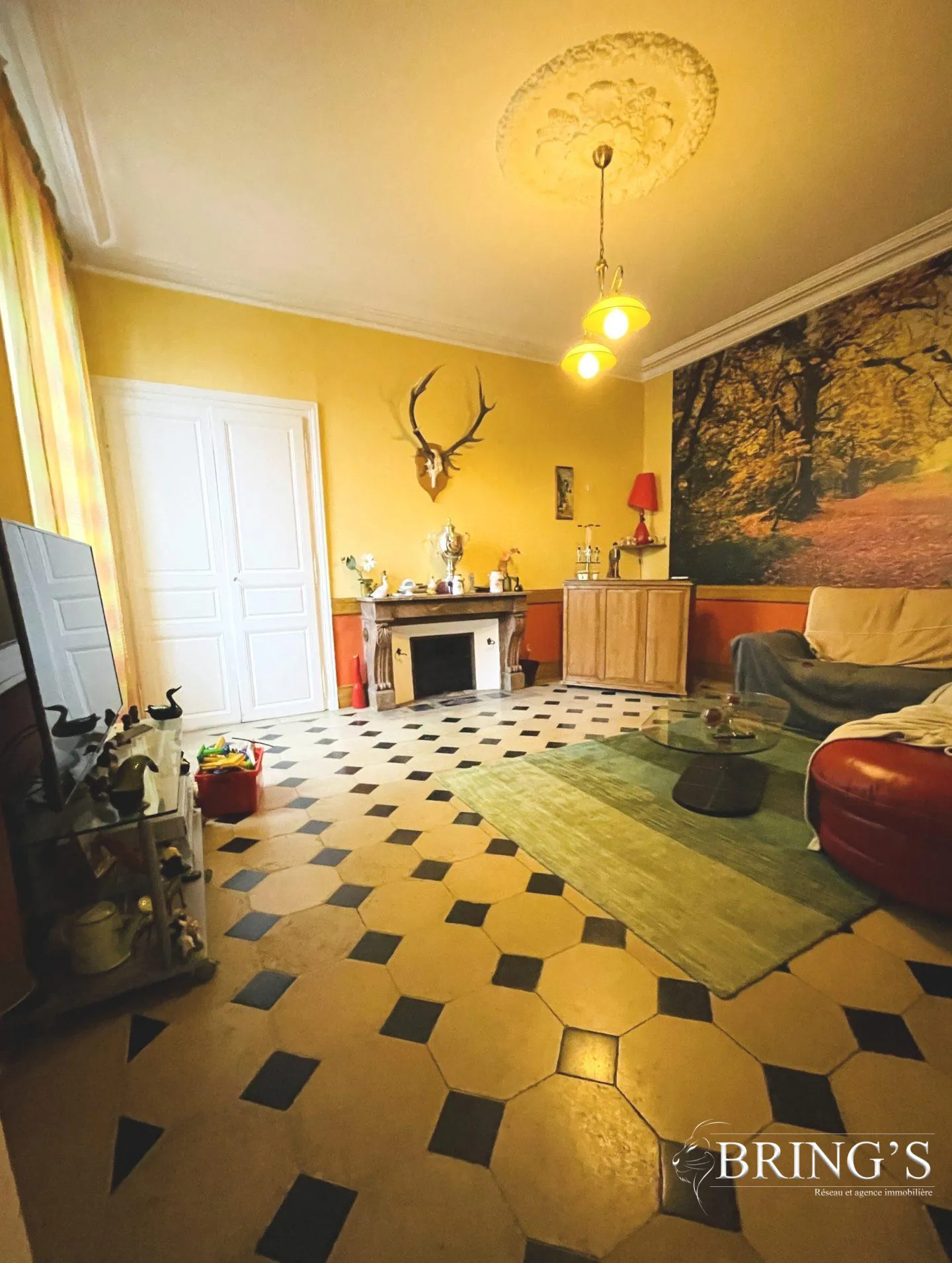 Superbe maison bourgeoise de 196 m² à Alençon, vue agréable 
