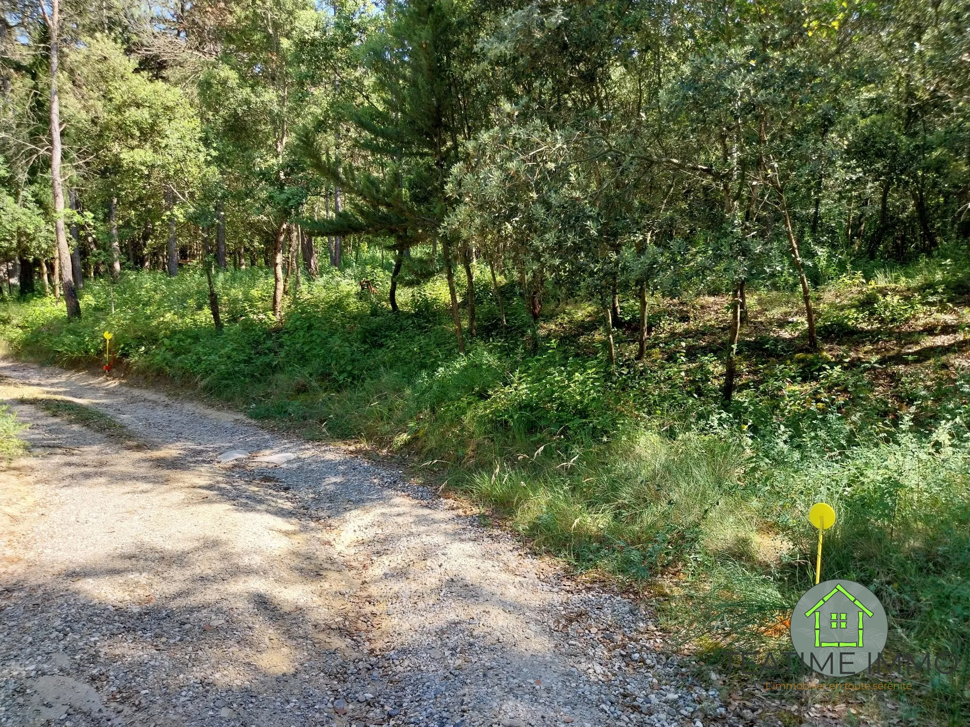 Terrain constructible de 2050 m² à Palaja dans une pinède paisible