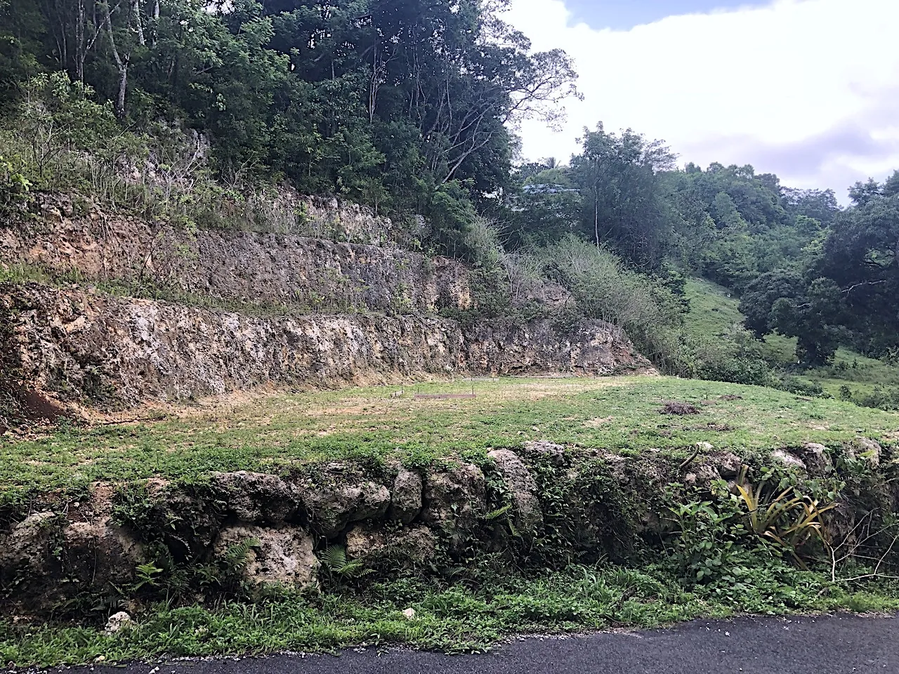 Terrain constructible de 1000 m² à Le Gosier, calme et en pleine nature