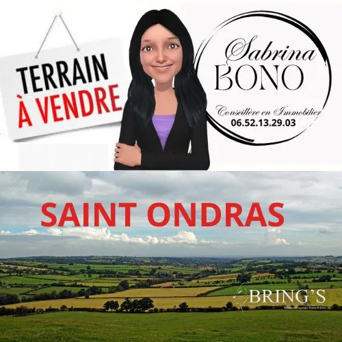 Terrain constructible de 1070 m² à Saint-Ondras - Parcelle libre pour construire