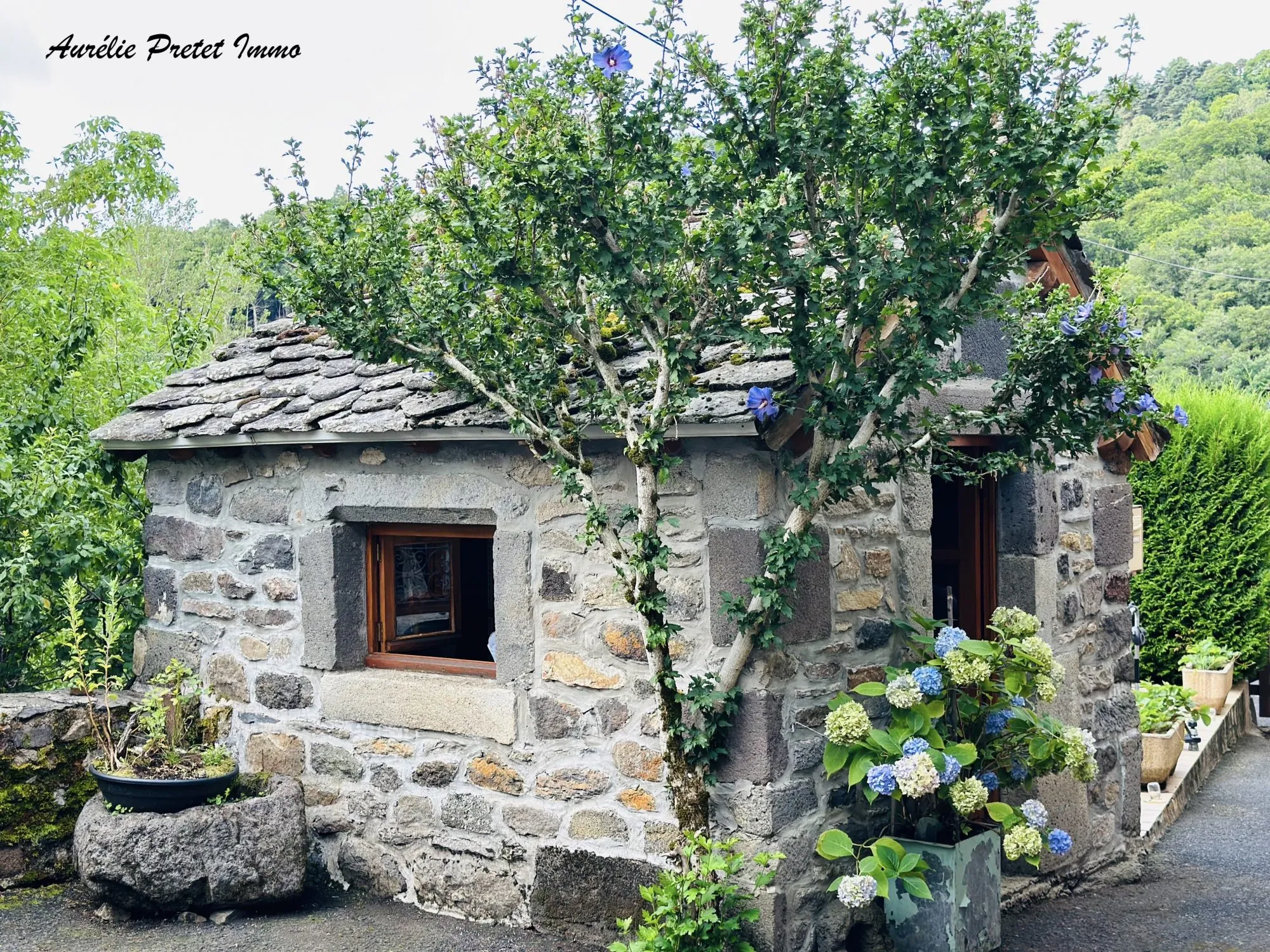 Maison de campagne à vendre à Peyrusse de 155 m² avec jardin et terrasse 
