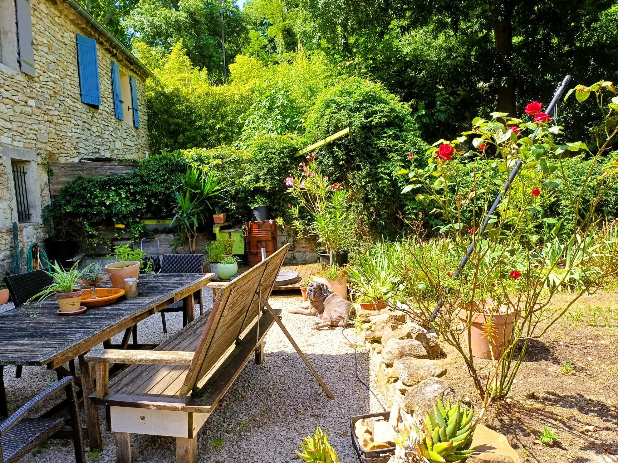 Maison à vendre à Bollène avec jardin, 4 chambres et prestations modernes