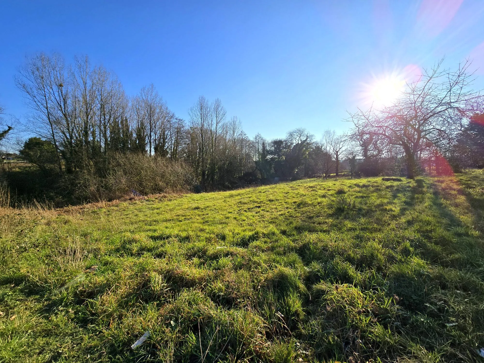 Terrain constructible de 1169 m² à Plémet, accès facilité, idéal pour votre maison