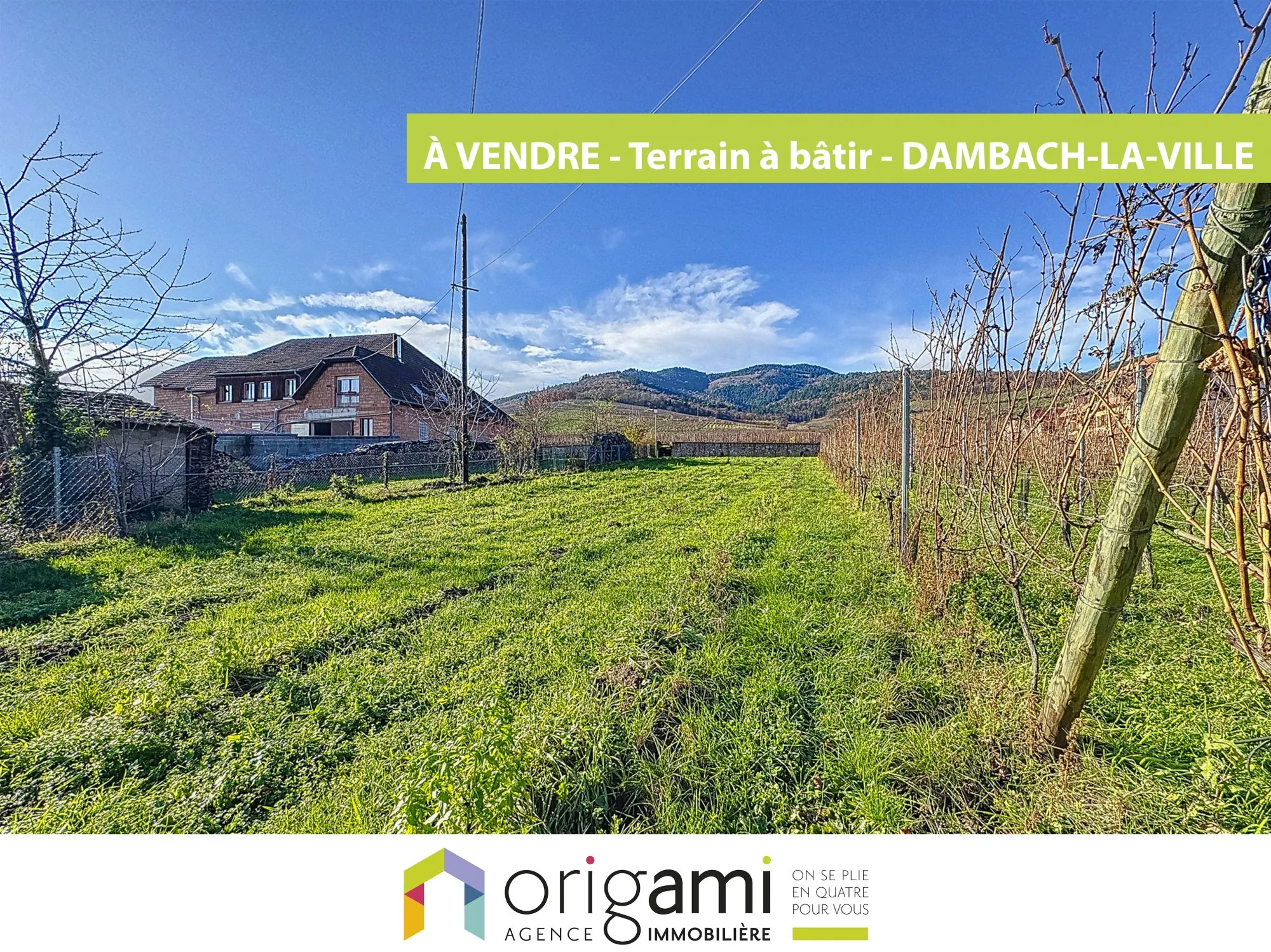 Terrain à bâtir en exclusivité à Dambach-la-Ville avec vue dégagée et situation privilégiée