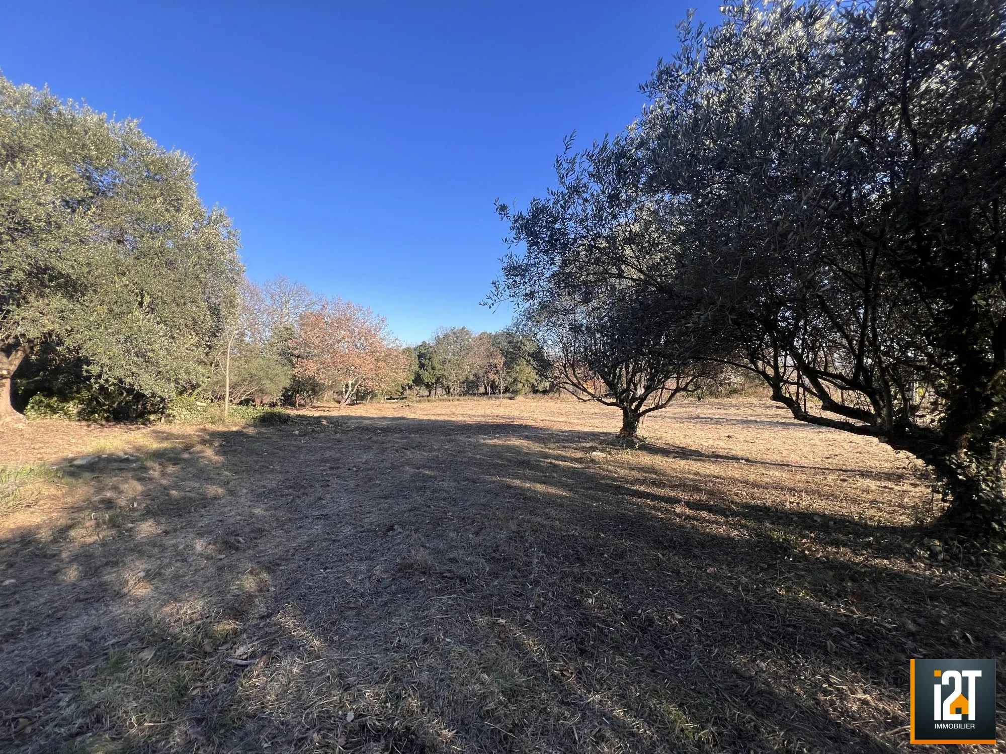 Terrain à vendre de 1050 m² à Cruviers-Lascours, viabilisé et dans un cadre paisible