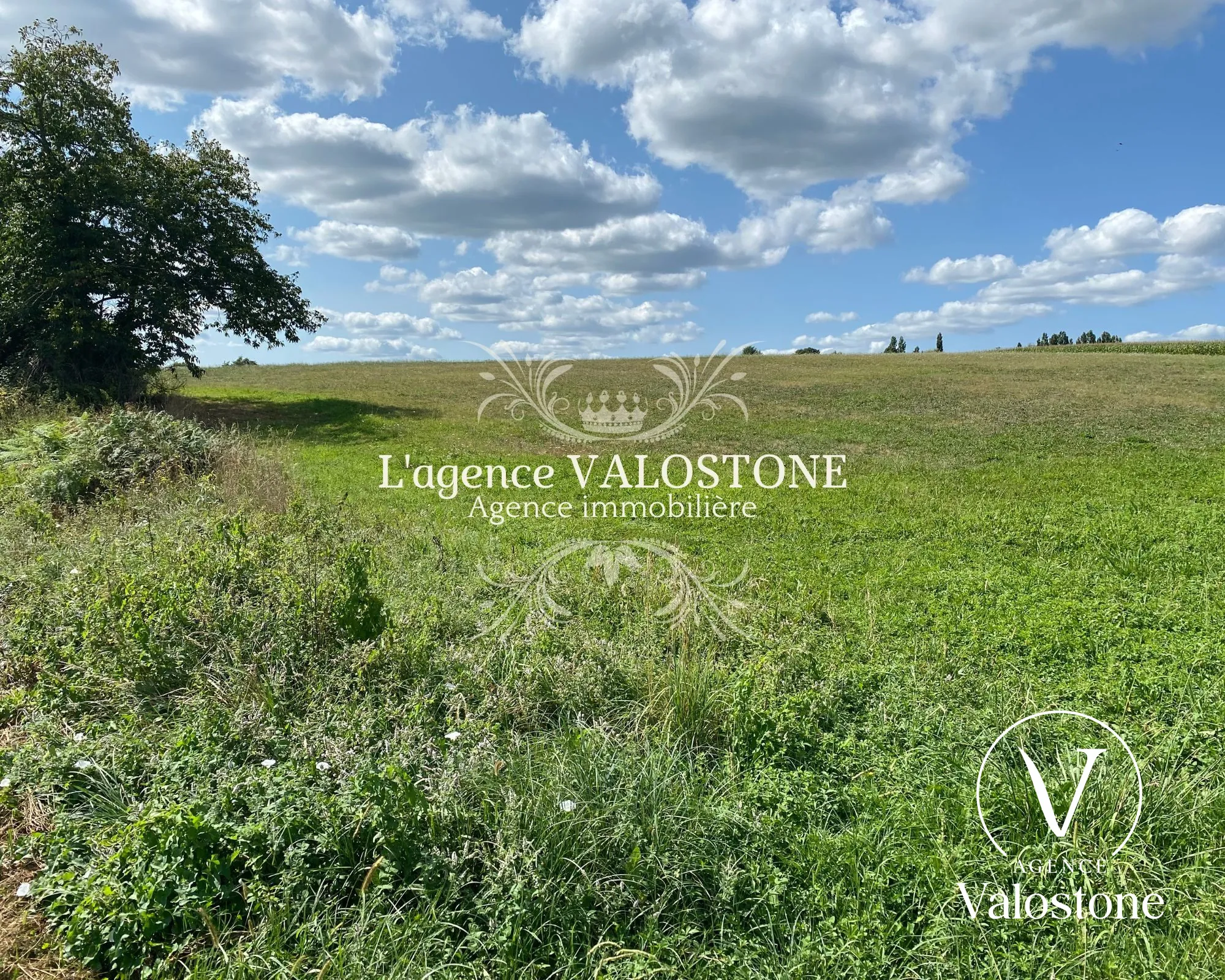 Terrain constructible de 2 924 m² avec vue sur les Pyrénées à Monsegur 