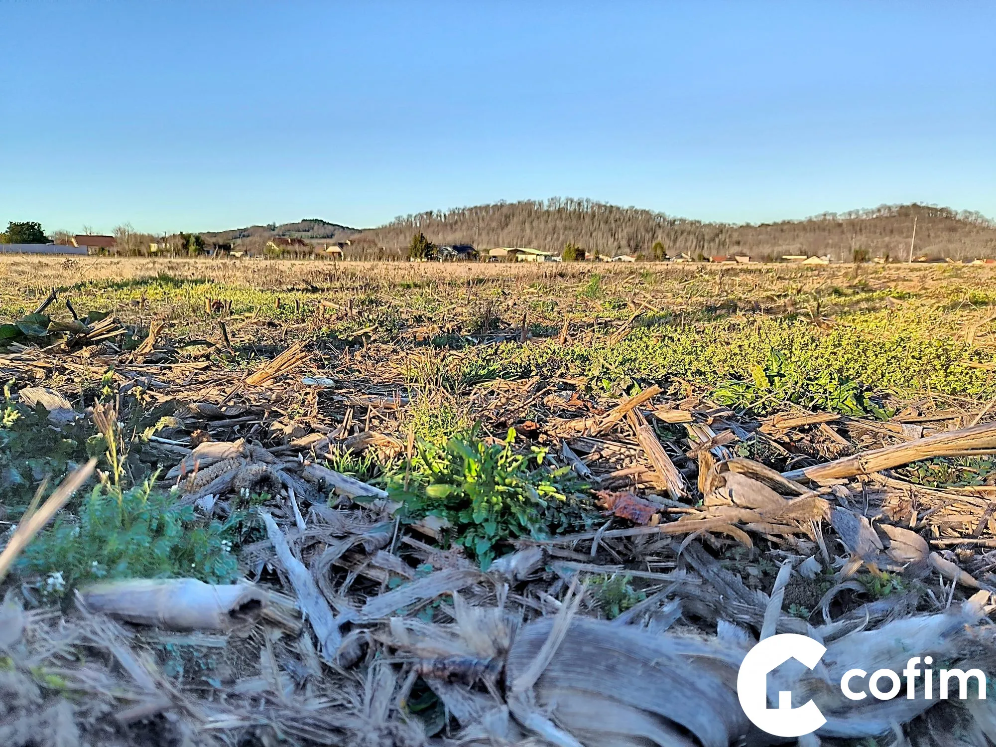 Terrain constructible à Bordes près de Nay – Hors lotissement et prêt à construire