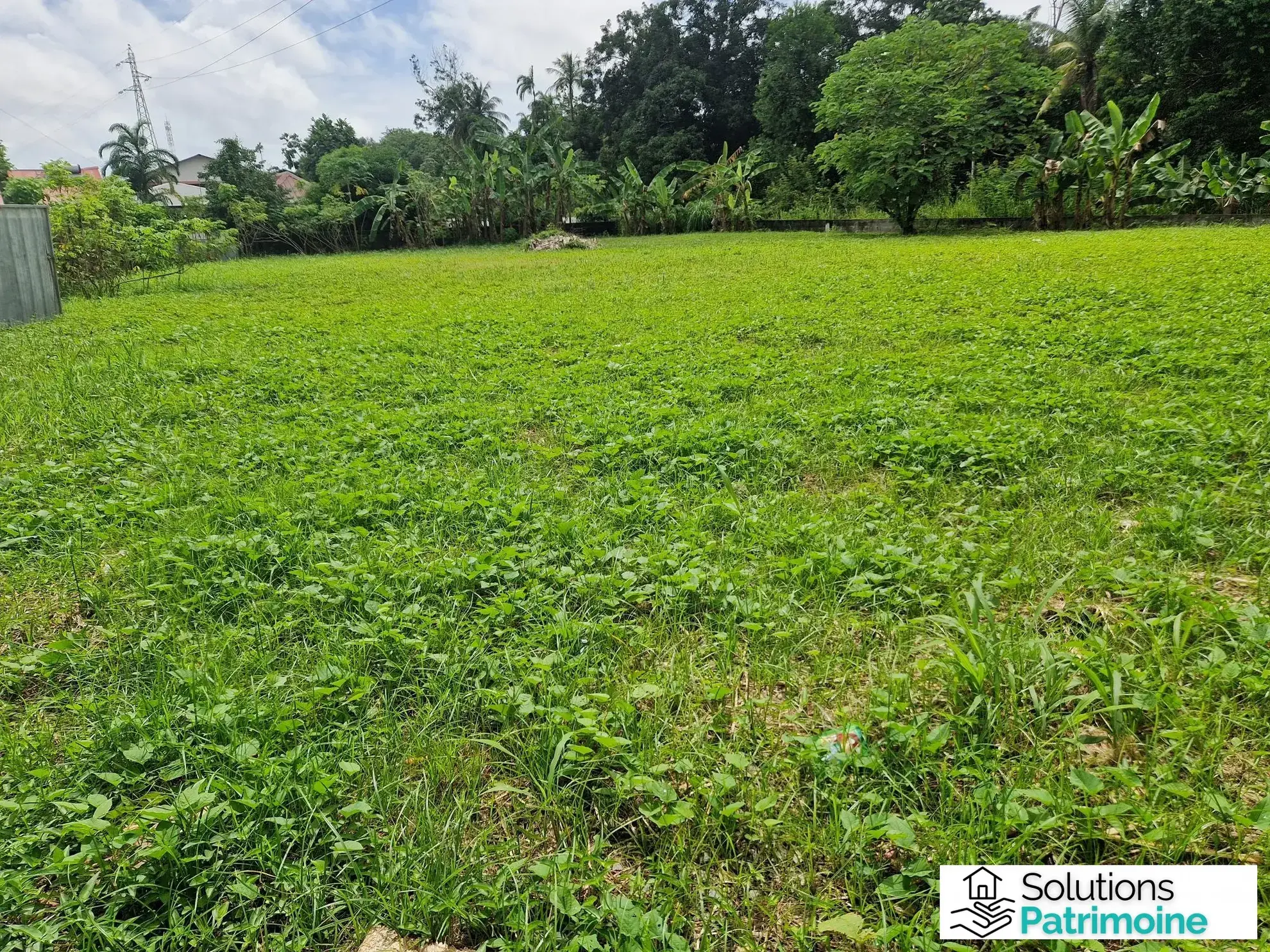 Terrain de 600 m² à Cayenne – Quartier MORTIN, calme et verdoyant