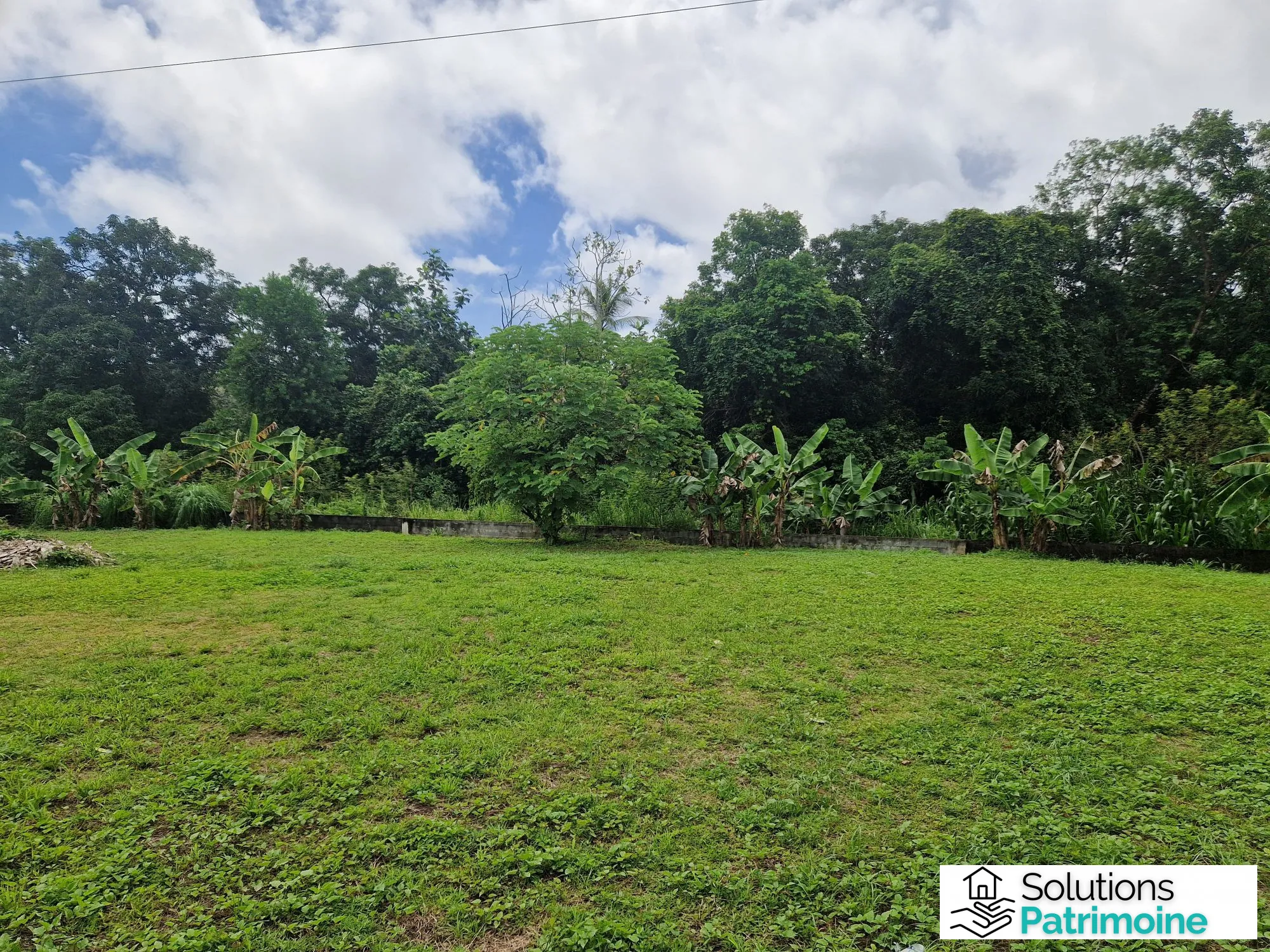 Terrain de 600 m² à Cayenne – Quartier MORTIN, calme et verdoyant 