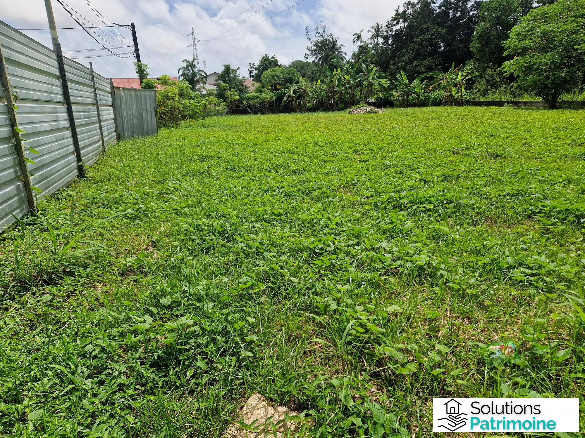 Terrain de 600 m² à Cayenne – Quartier MORTIN, calme et verdoyant 
