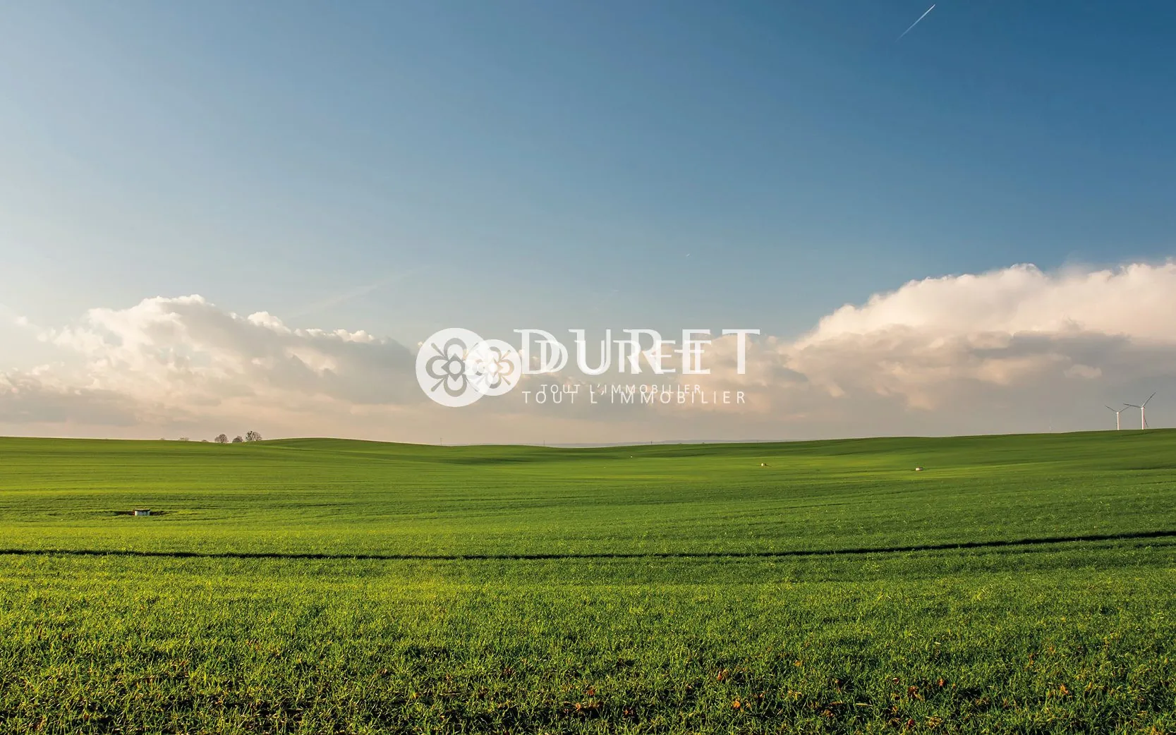 Terrain constructible de 20 000 m² à Saint-Michel-Mont-Mercure, idéal pour tourisme