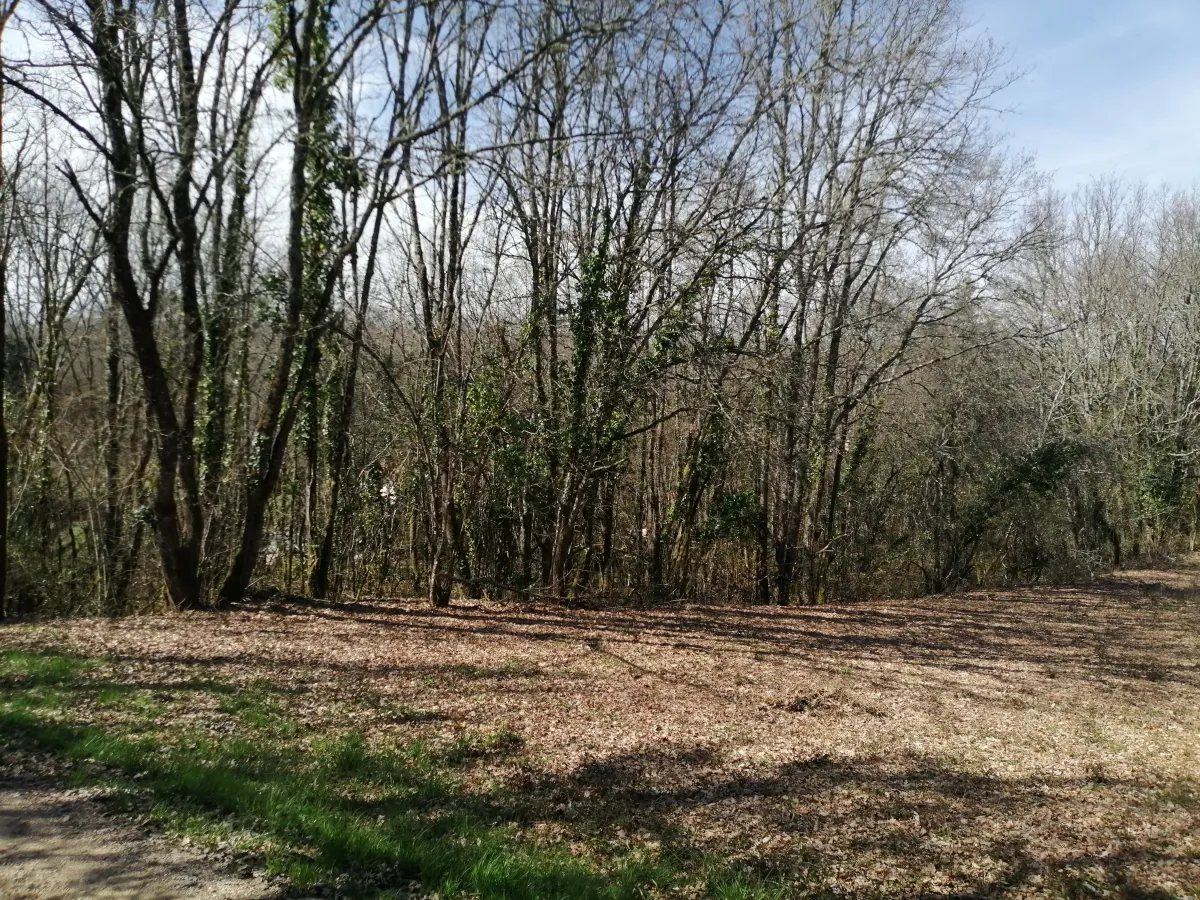 Terrain boisé constructible de 1617 m² à Meyrals - Idéal Investissement