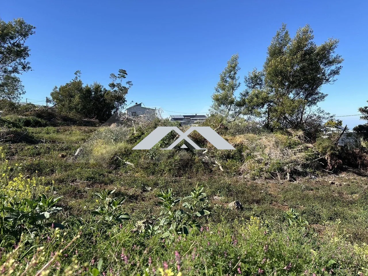 Terrain constructible à La Plaine des Cafres - Opportunité à saisir 