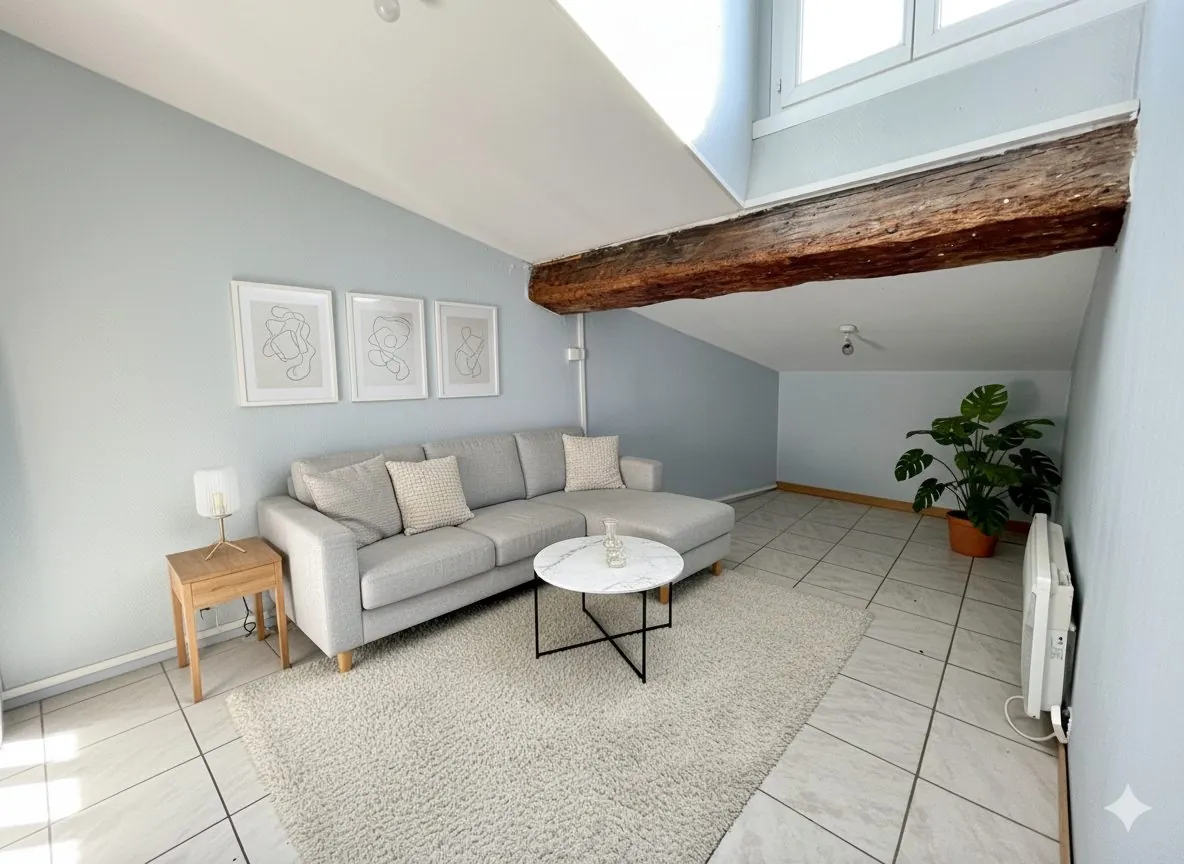 Appartement T2 à Lyon 7 Saint Michel - Dernier étage, Saxe Gambetta