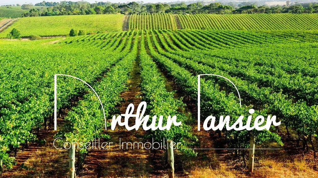 Terrain viticole de 5 hectares à Fougueyrolles – Investissement agricole