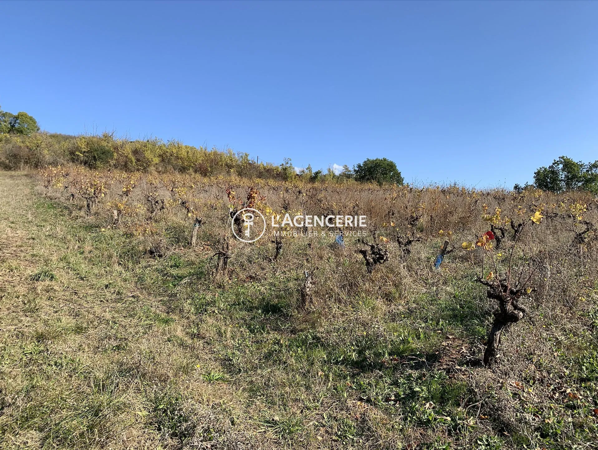 Terrain constructible à Albi avec permis pour 4 maisons, vue dégagée 