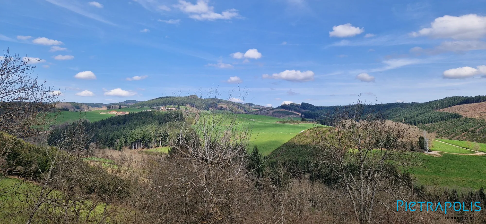 Maison spacieuse avec dépendances et vue dégagée à Saint Vincent de Reins 