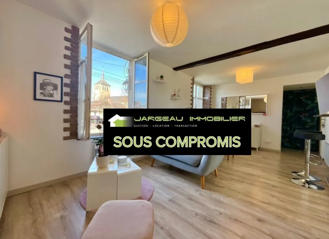 Bel appartement de 54 m² en centre-ville de Jargeau avec 2 chambres