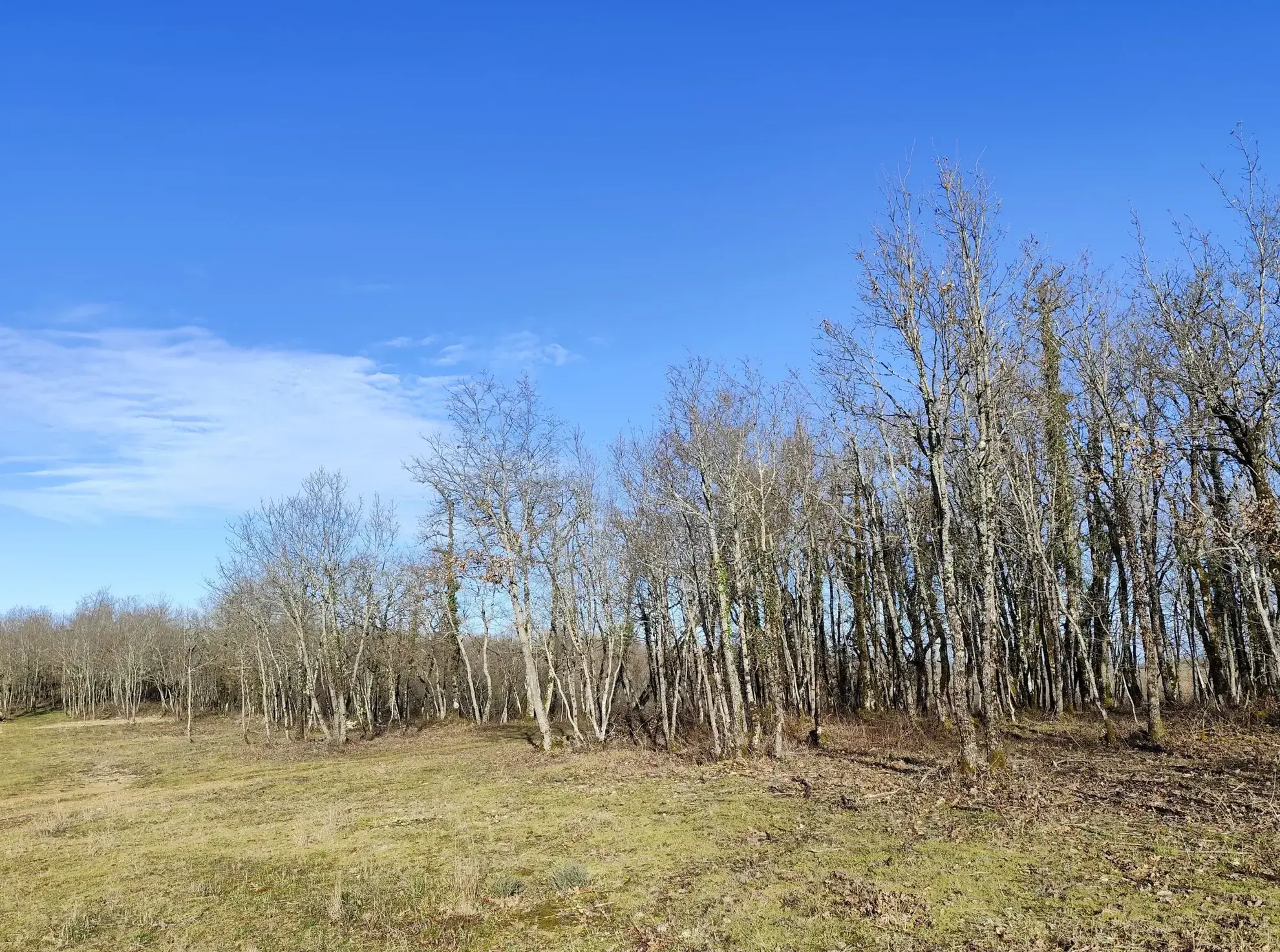 Achat ensemble de terres agricoles et bois de chêne à Nespouls, Causse 