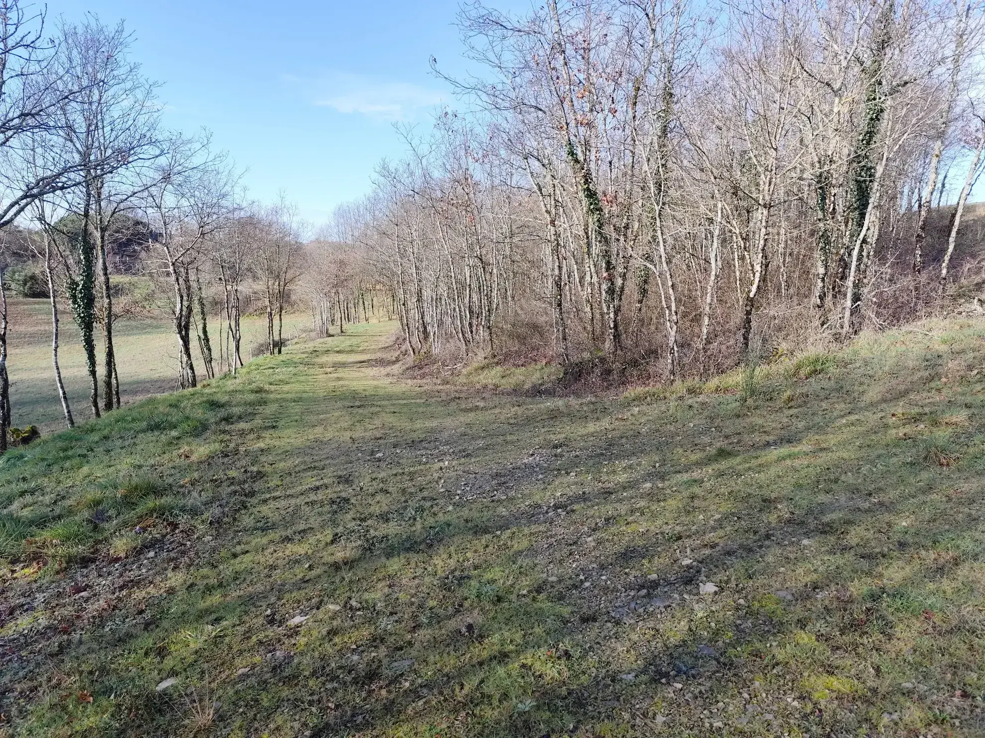 Achat ensemble de terres agricoles et bois de chêne à Nespouls, Causse 