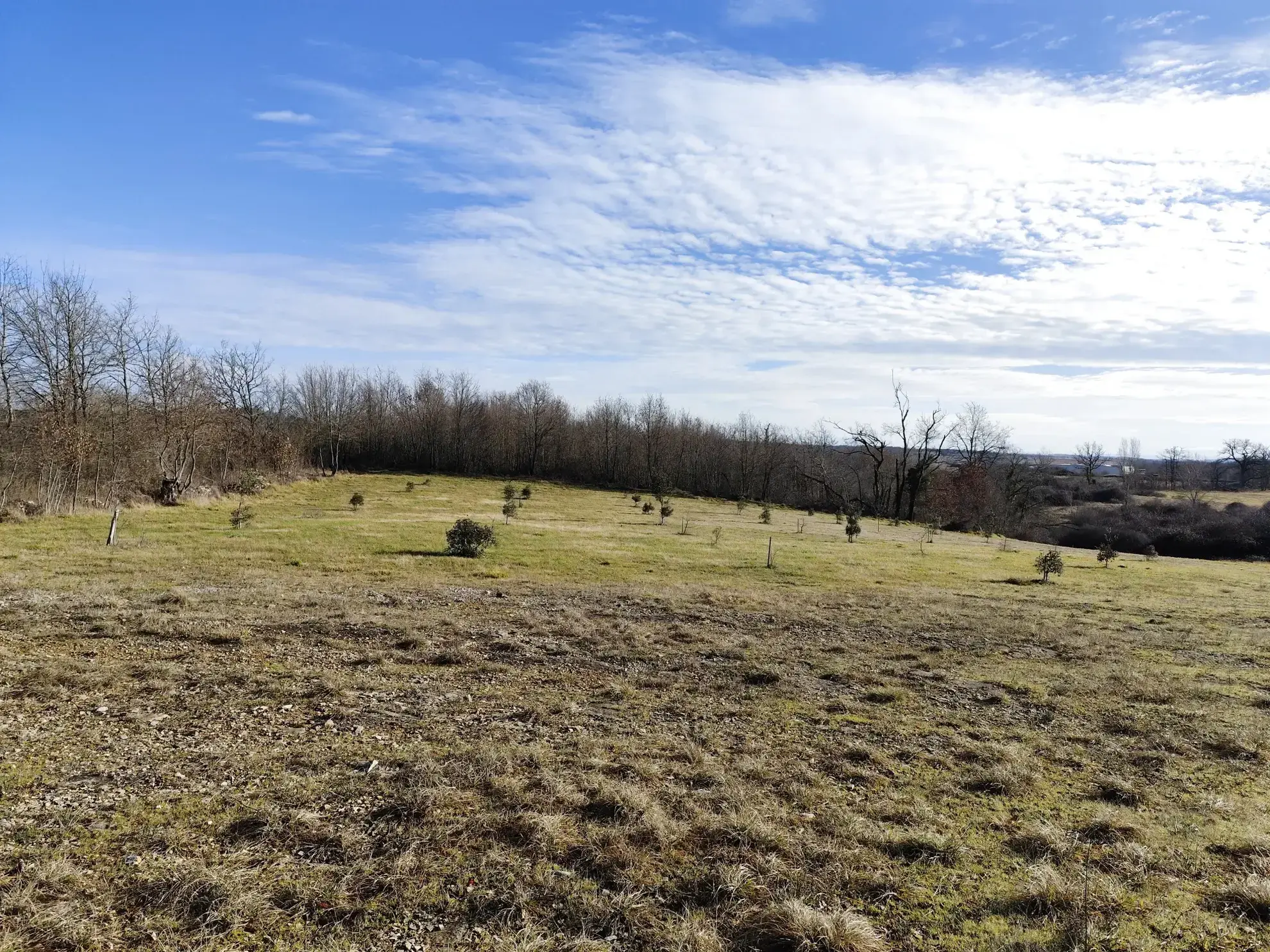 Achat ensemble de terres agricoles et bois de chêne à Nespouls, Causse