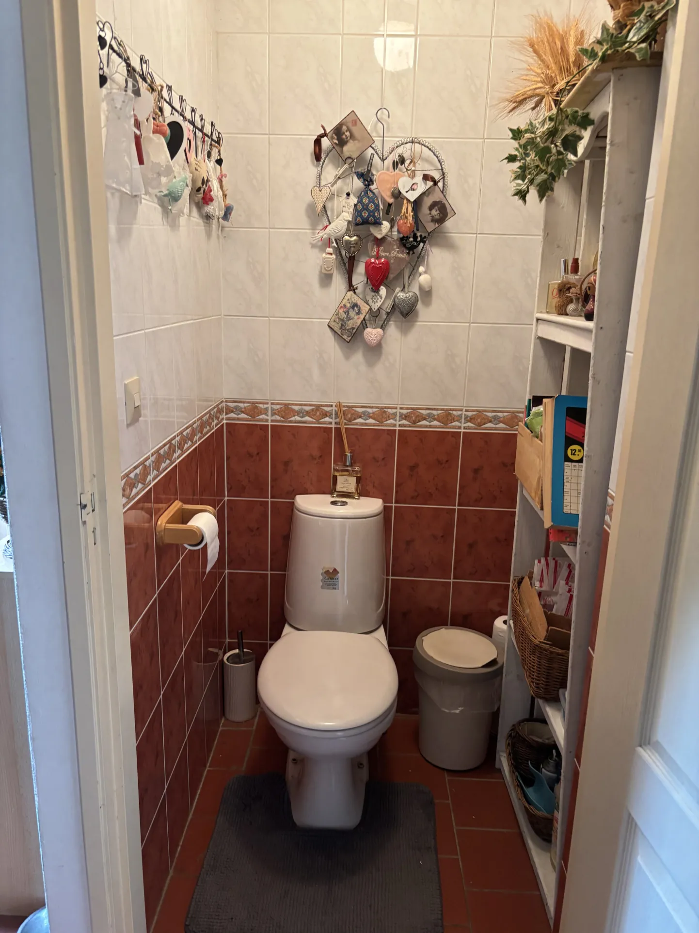 Charmante maison avec 1934 m² de terrain à Saint-Denis-de-Jouhet 