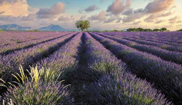 Appartement 3 pièces à Brignoles – livraison 2027, prix exceptionnel