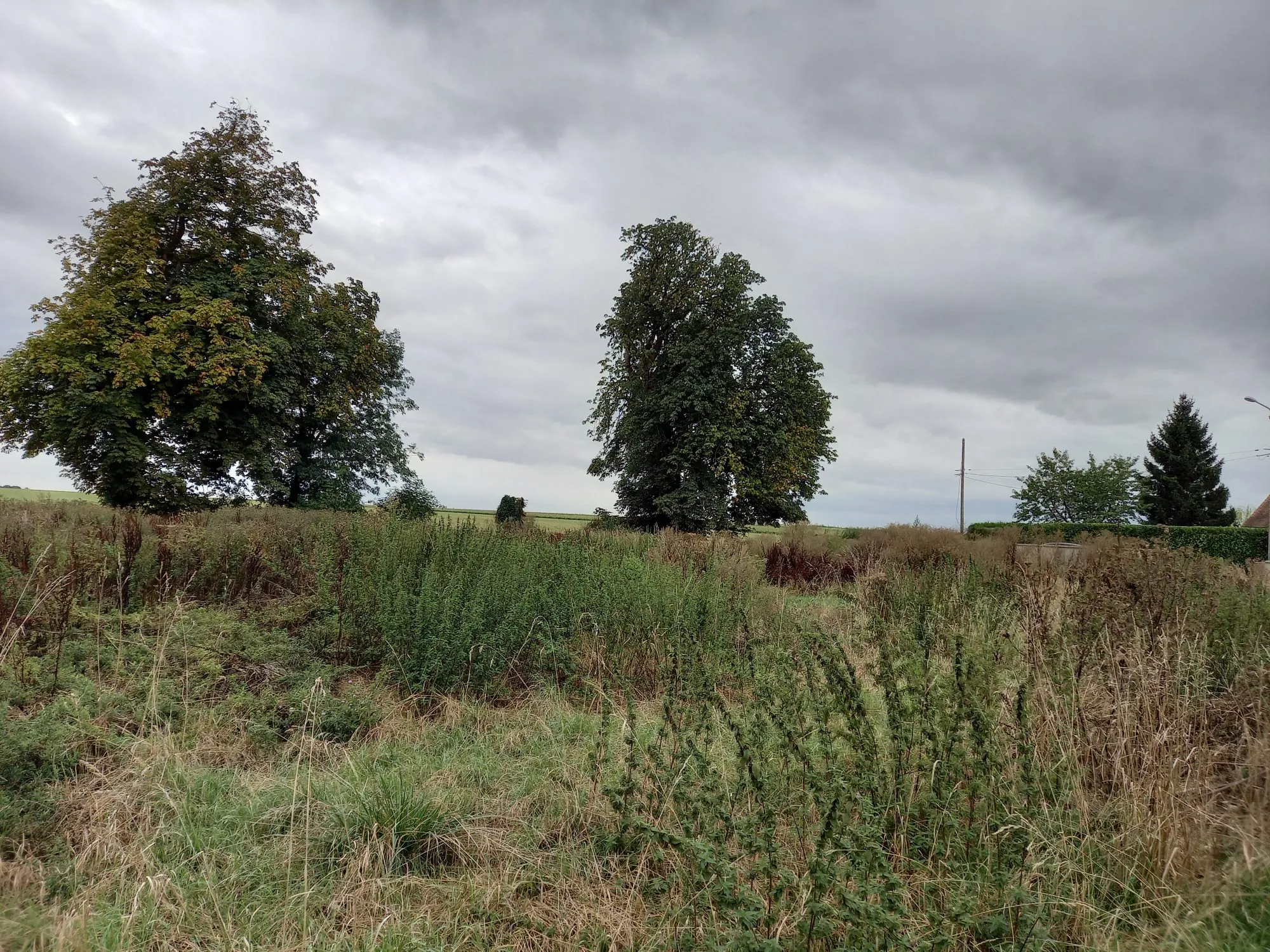 Terrain à bâtir de 1032 m² à Vraiville, viabilisé, libre de constructeur 