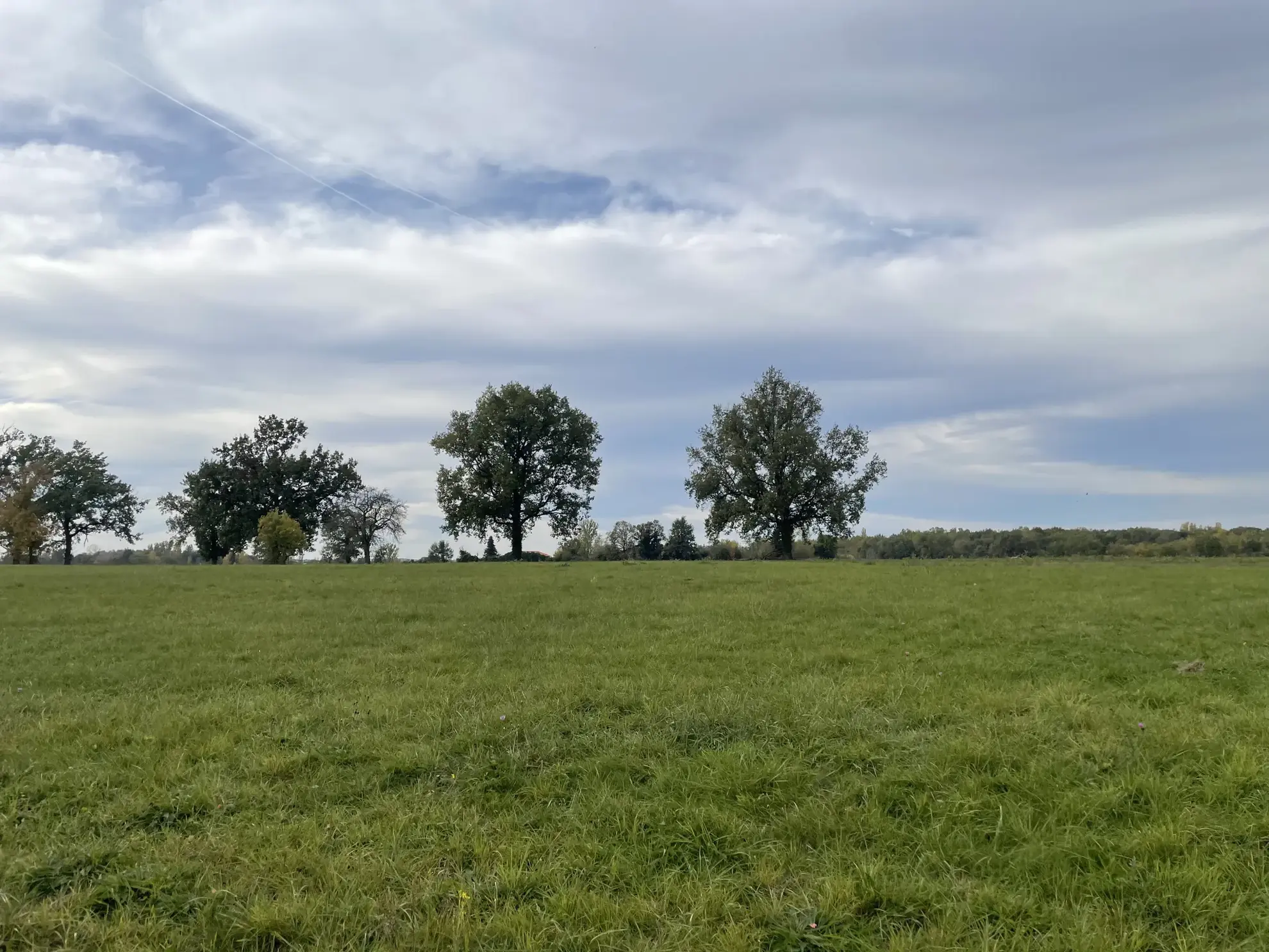 Terrain à bâtir d’exception à Nègrepelisse sur la vieille route de Montauban