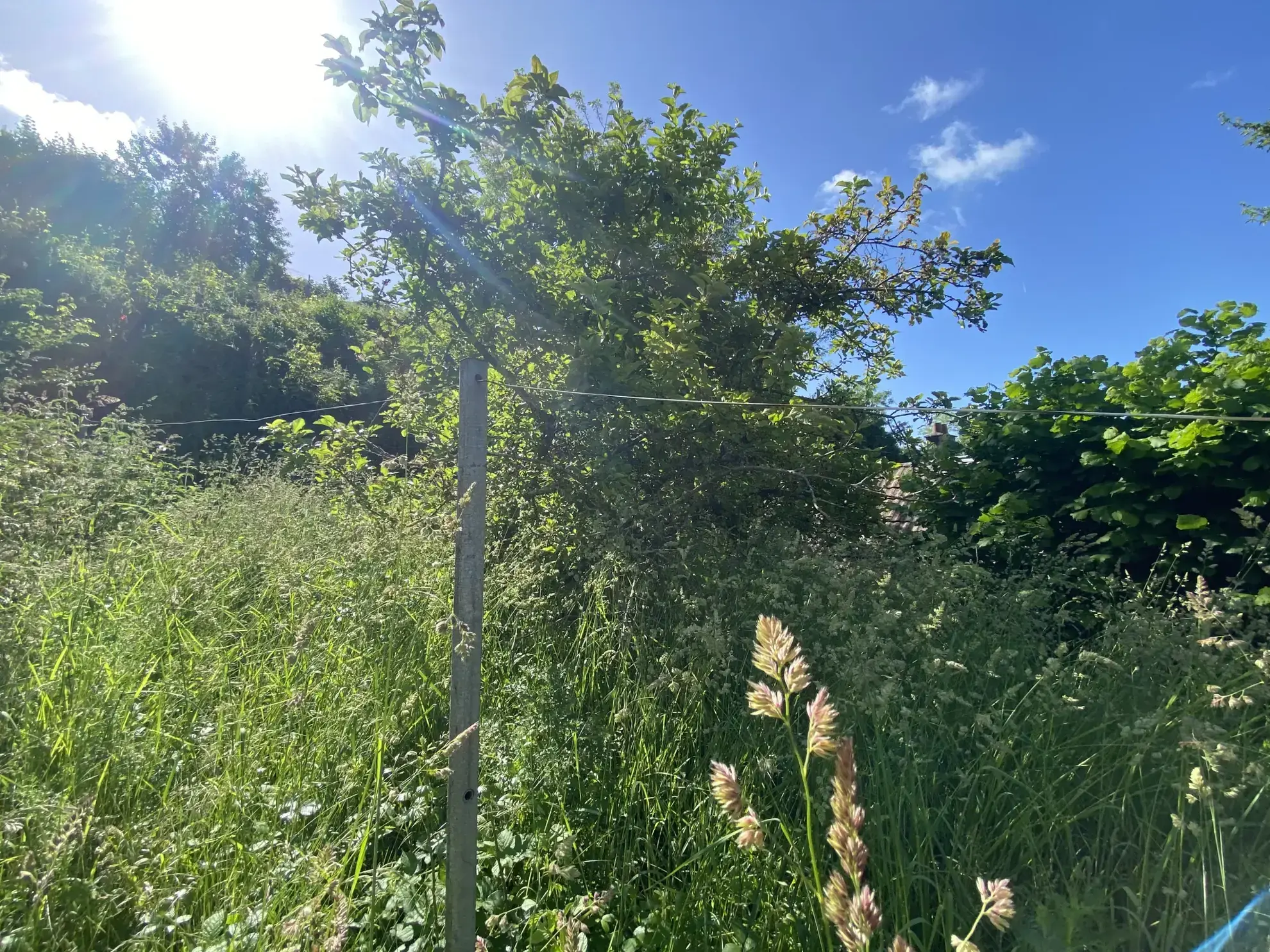 Longère à rénover avec jardin et caves troglodytes proche Montoire - Vallée du Loir 