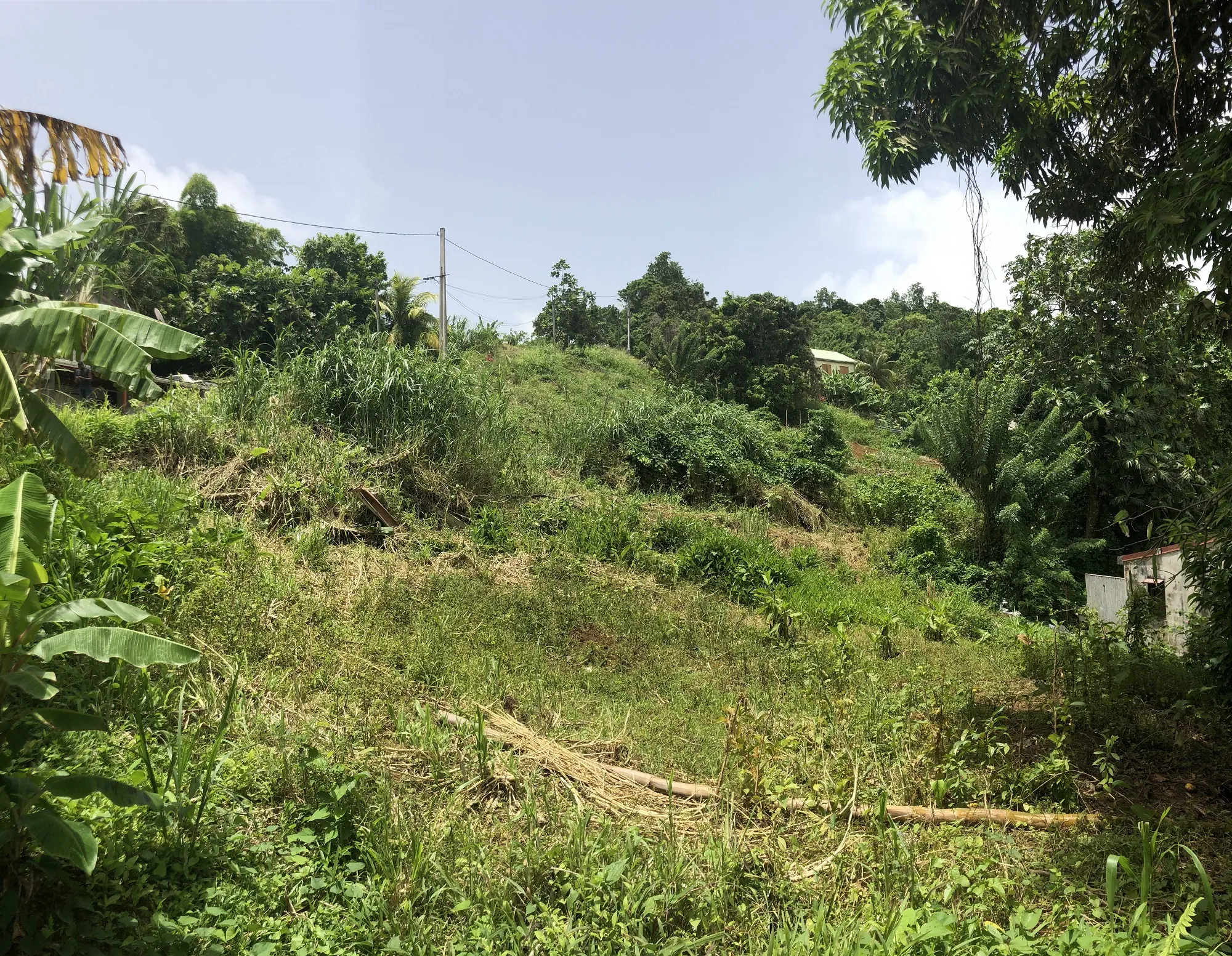 Terrain constructible de 709 m2 au FRANCOIS, idéal résidence ou investissement 