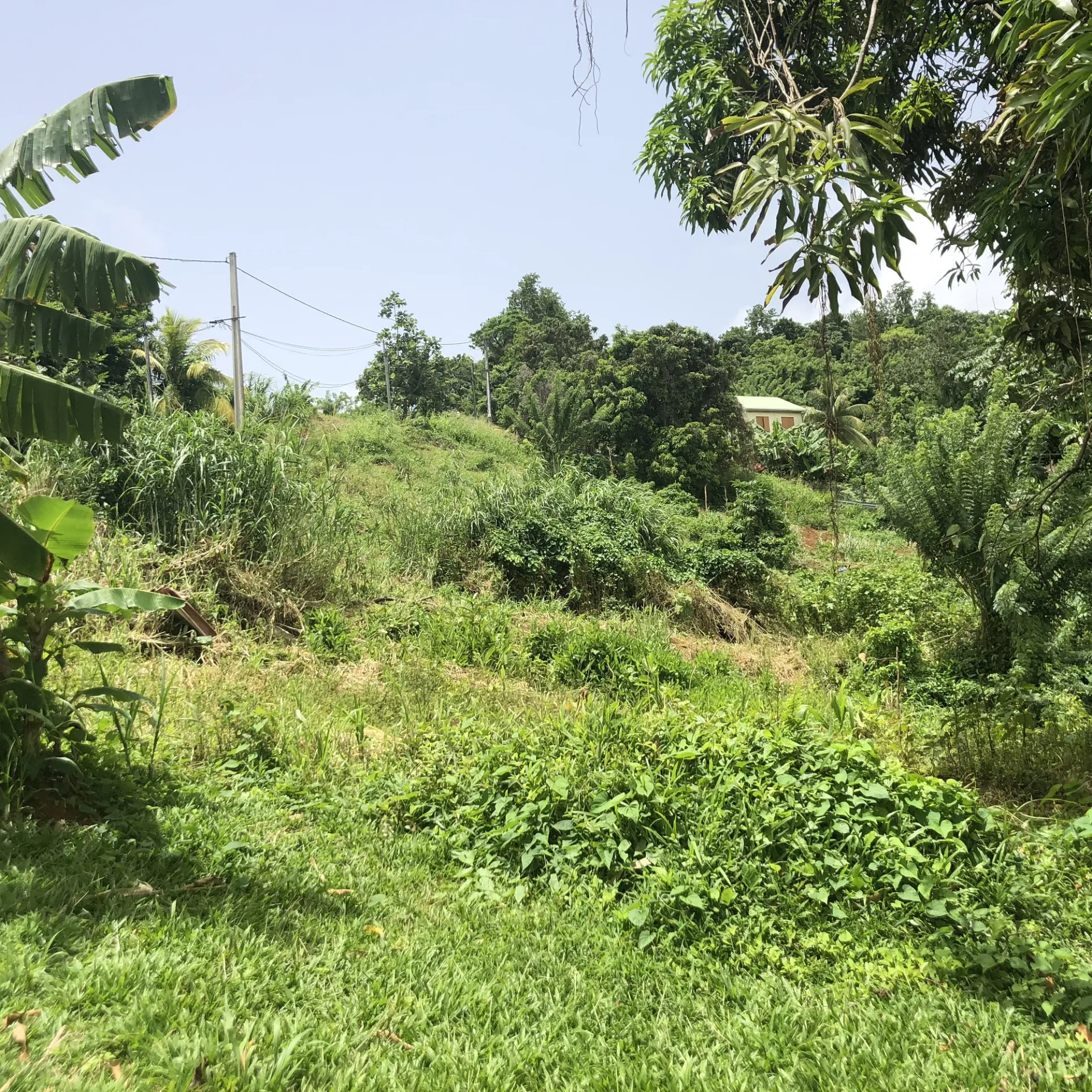 Terrain constructible de 709 m2 au FRANCOIS, idéal résidence ou investissement 