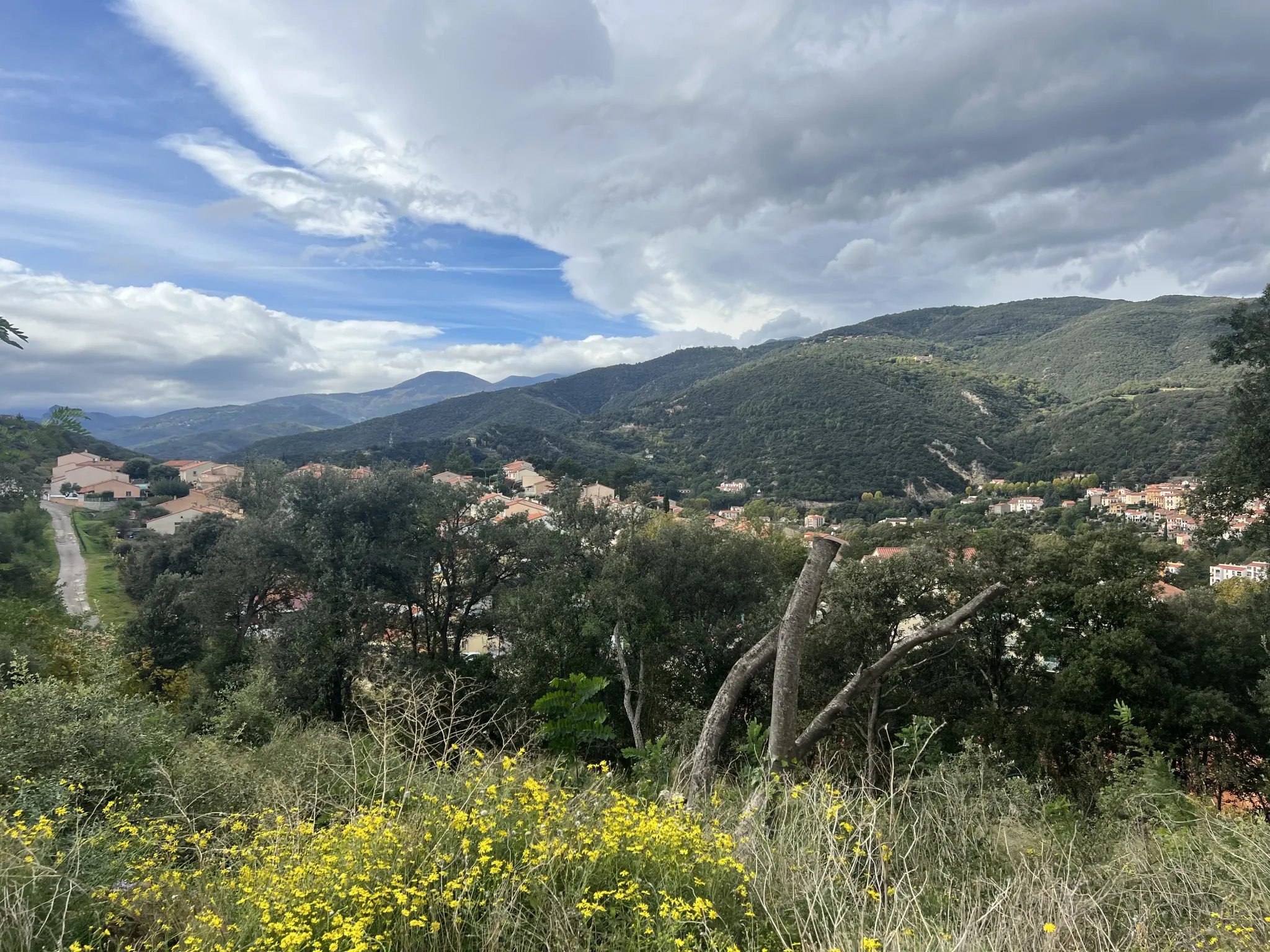 Terrain constructible de 445 m² à Amélie-les-Bains – Vue montagne et environnement calme