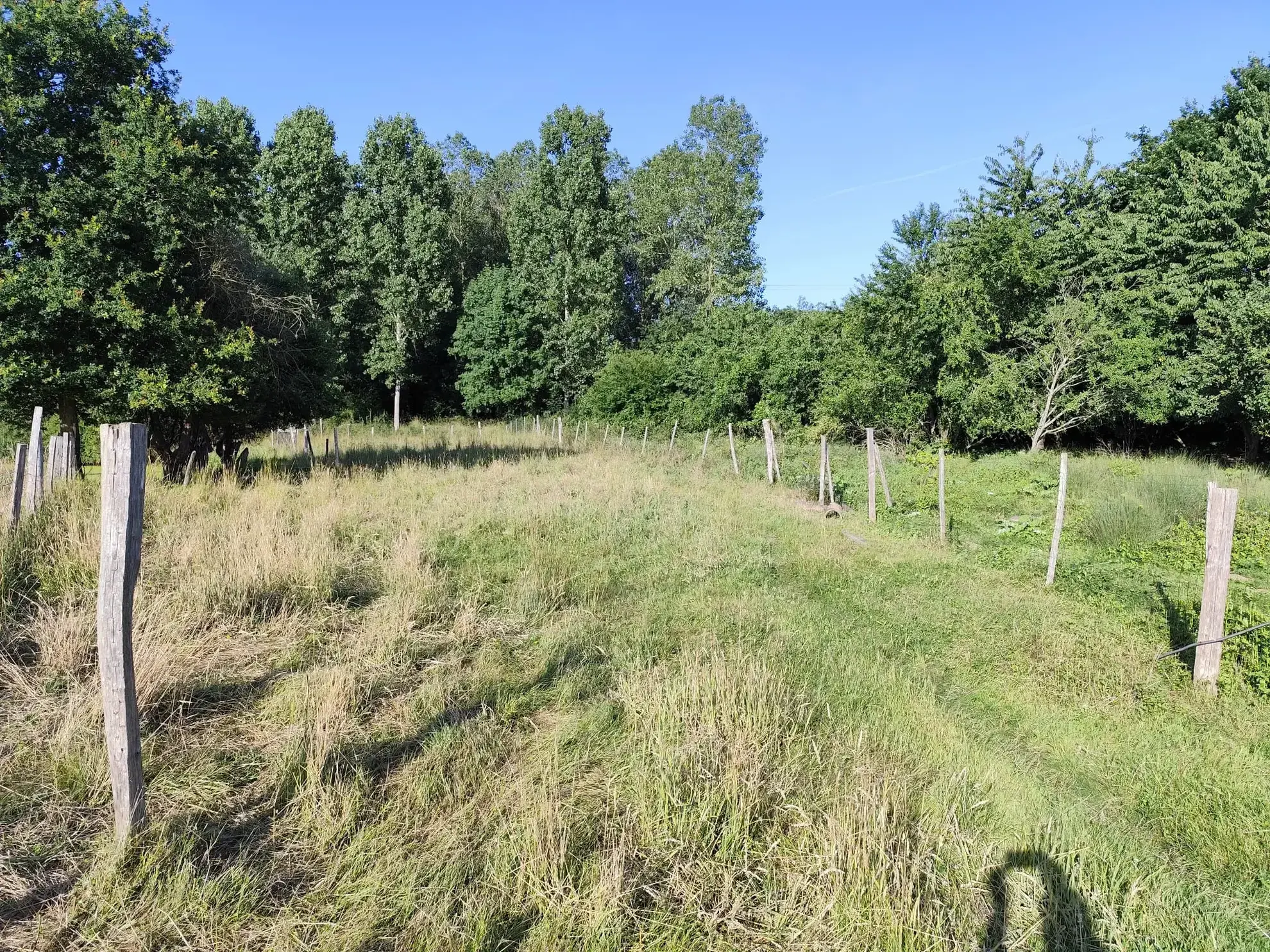 Maison à la campagne de 71 m² avec terrain de 84 588 m² à Maresche 