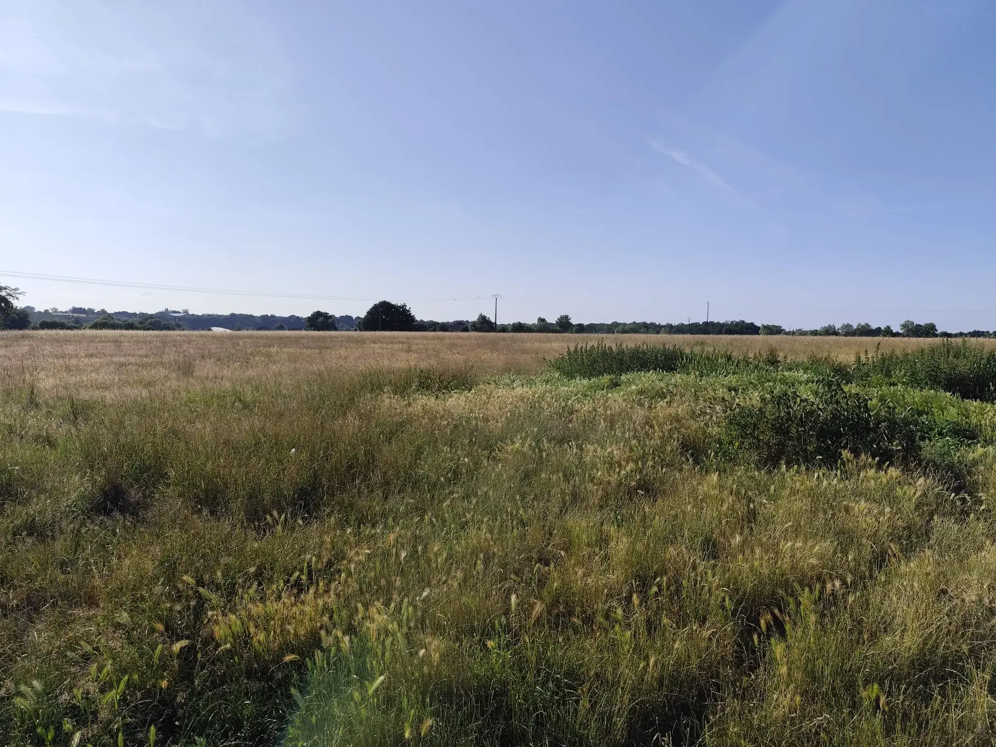 Maison à la campagne de 71 m² avec terrain de 84 588 m² à Maresche 