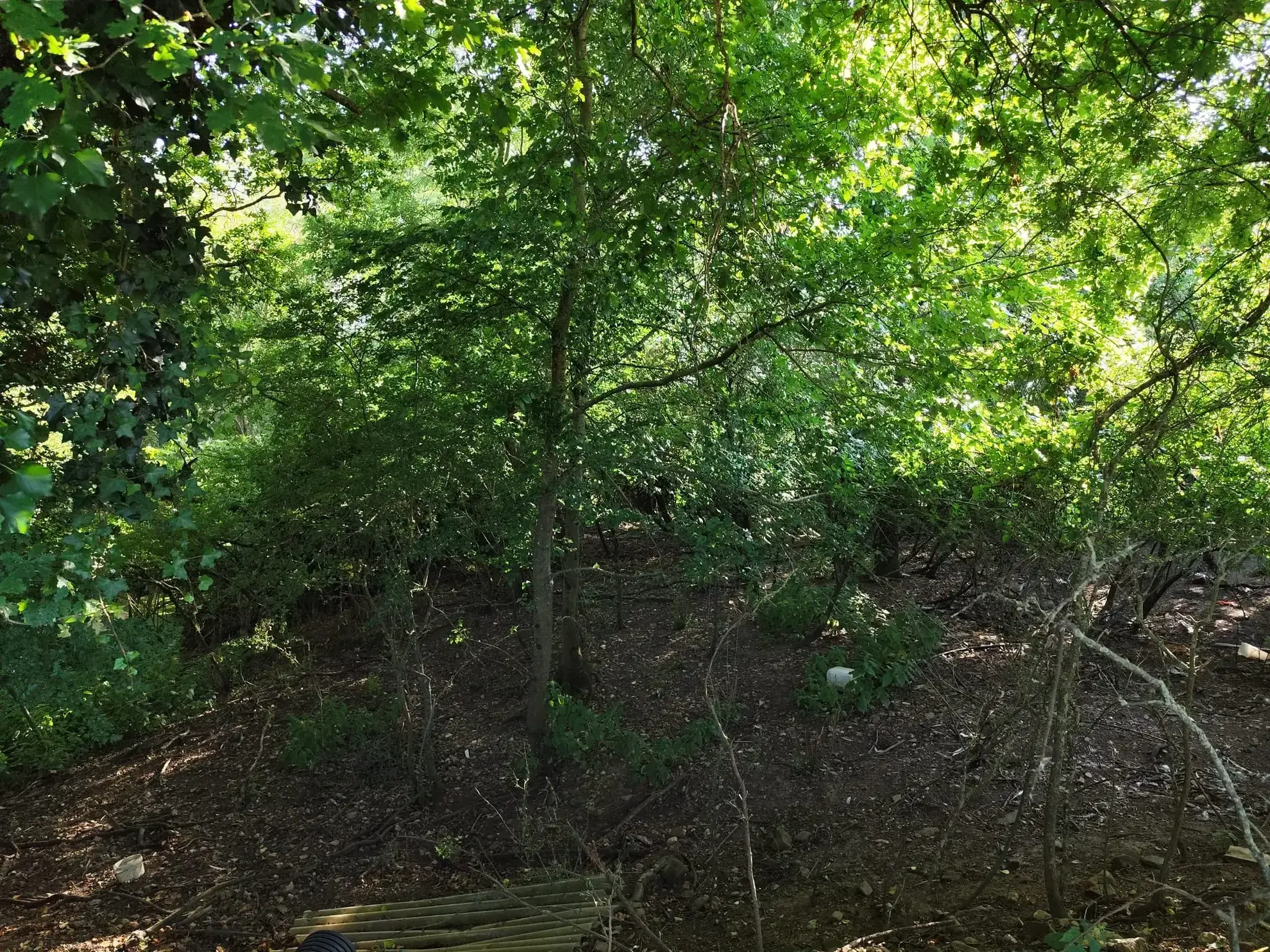 Maison à la campagne de 71 m² avec terrain de 84 588 m² à Maresche 