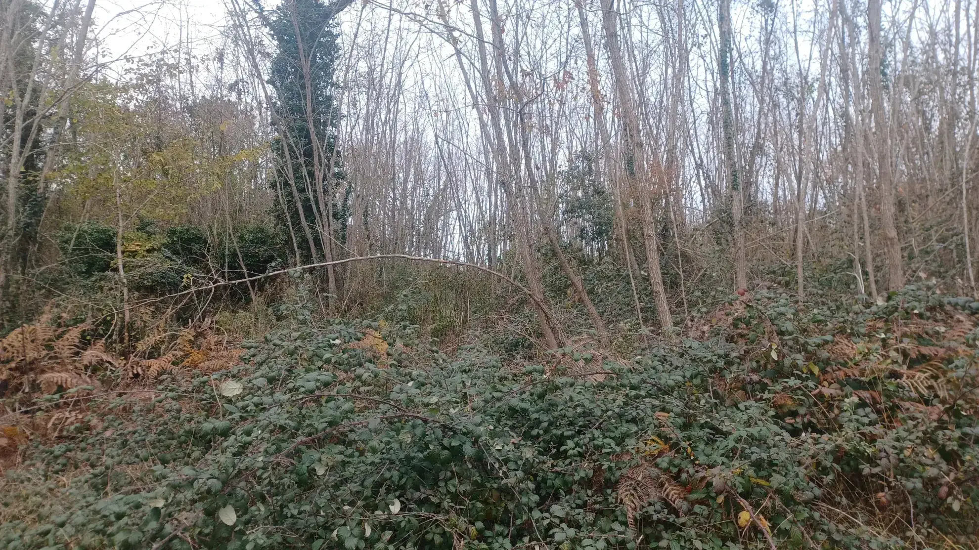 Terrains à bâtir à Meyrals – Parcelles constructibles disponibles