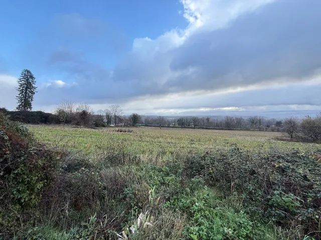 Terrains à bâtir viabilisés à Farges – Construisez la maison de vos rêves dans un cadre privilégié