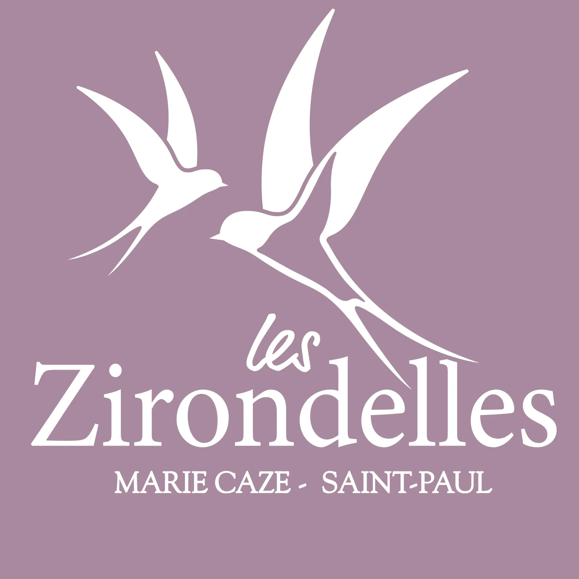 Parcelle viabilisée de 304 m² à vendre à Marie Caze, La Plaine Saint Paul 