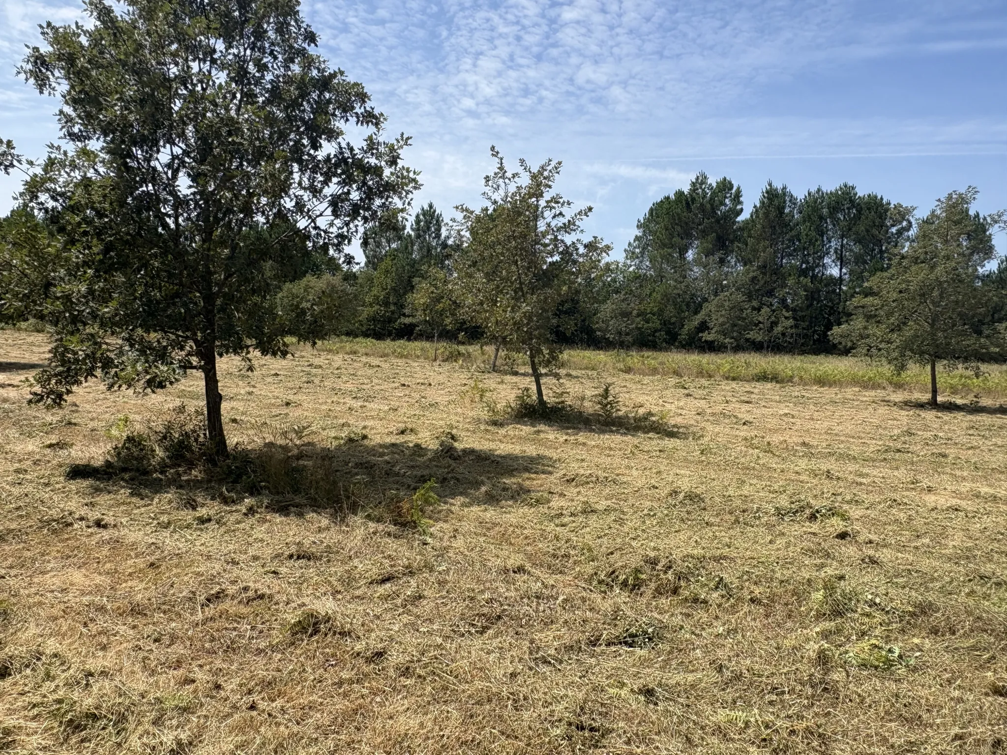 Terrain à vendre en zone AU2 à Cahen, idéal pour lotissement résidentiel proche Mont-de-Marsan 