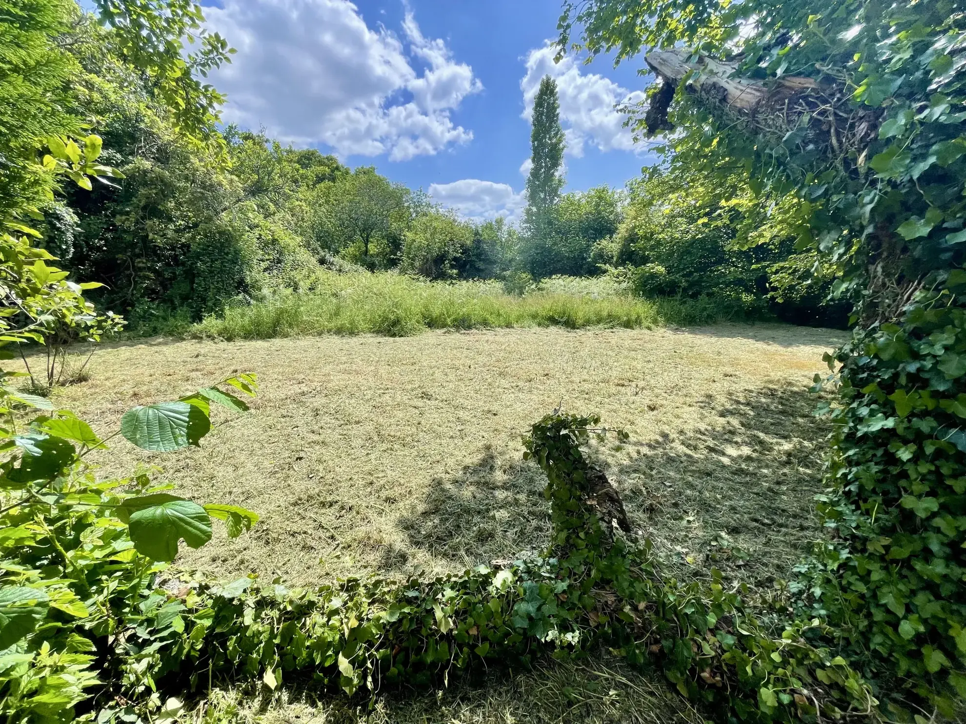 Maison en pierre à rénover à Vannes - grand terrain et potentiel 