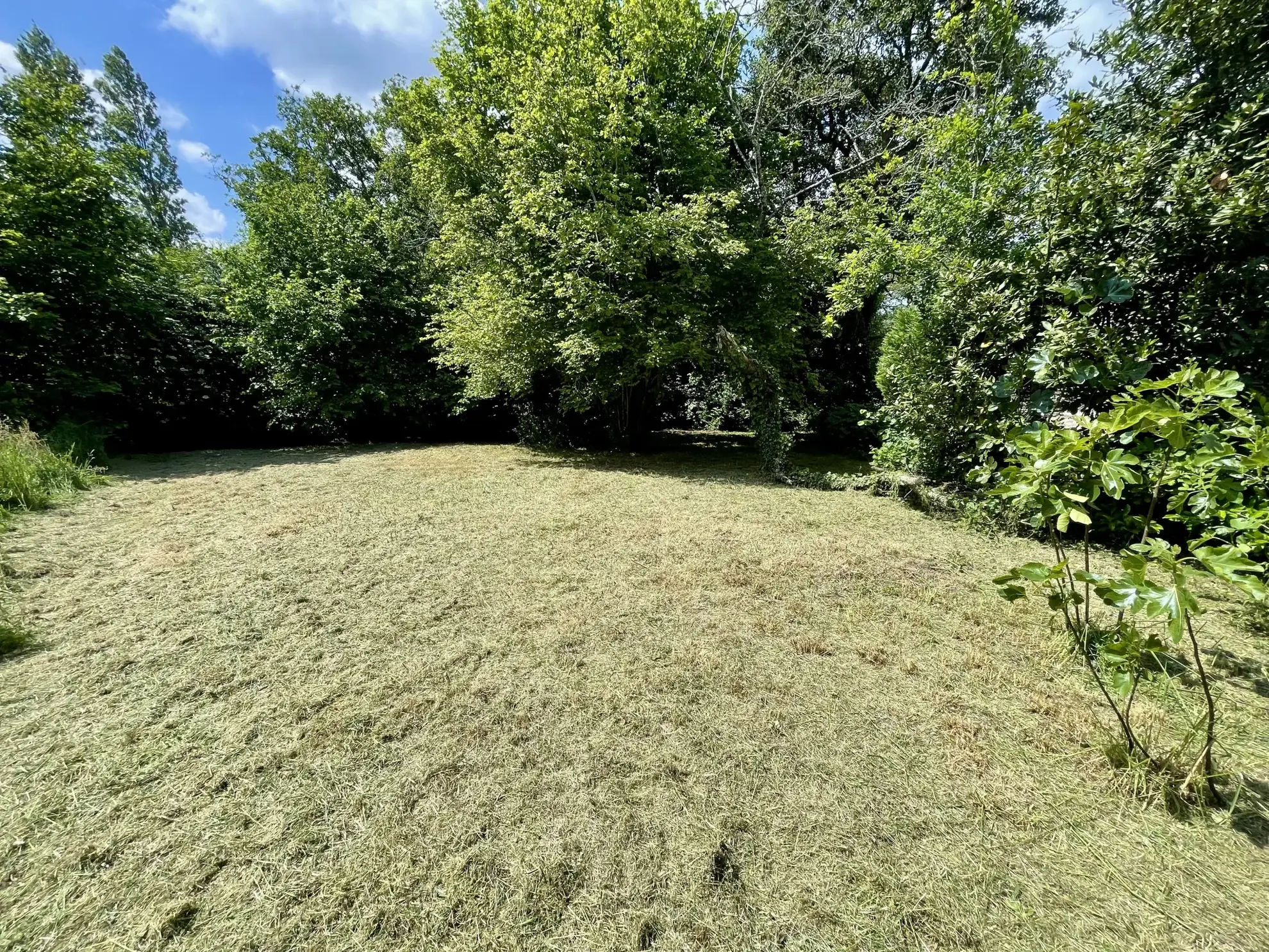 Maison en pierre à rénover à Vannes - grand terrain et potentiel 