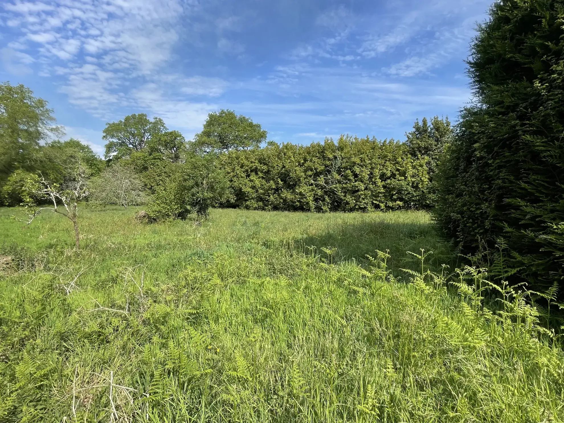 Maison en pierre à rénover à Vannes - grand terrain et potentiel 