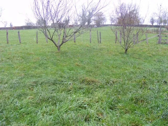 Maison en pierre à rénover avec dépendances en Saône-et-Loire 