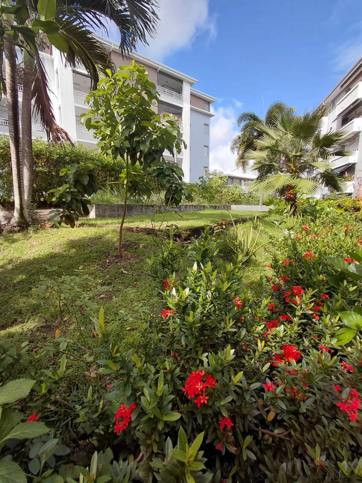 Appartement F2 en résidence senior sécurisée à Schœlcher - Qualité et confort