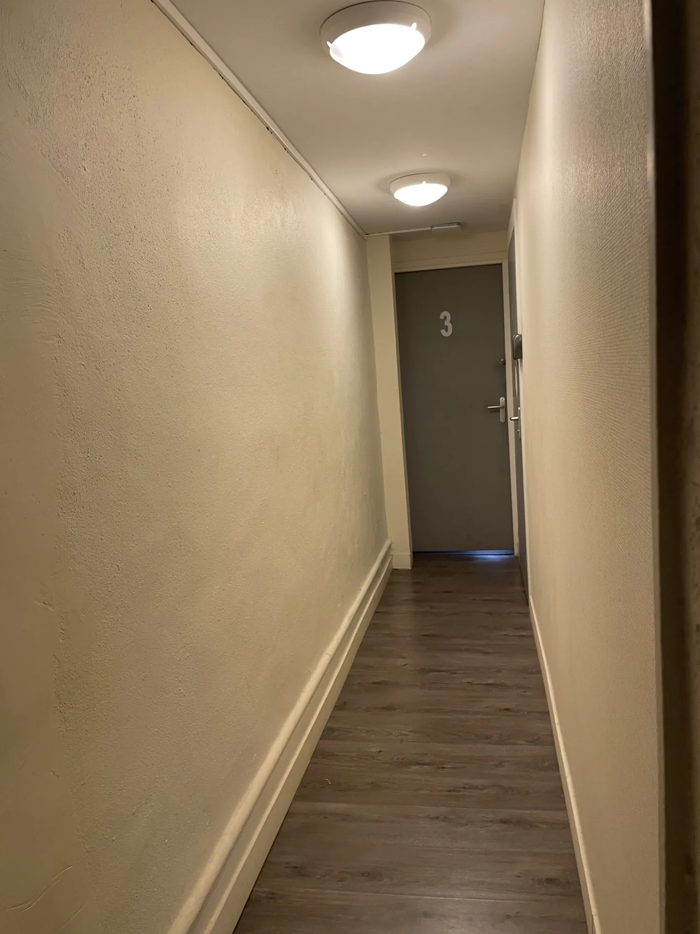 Immeuble à Dijon Centre-Ville avec 4 Appartements Meublés et Travaux à Prévoir 