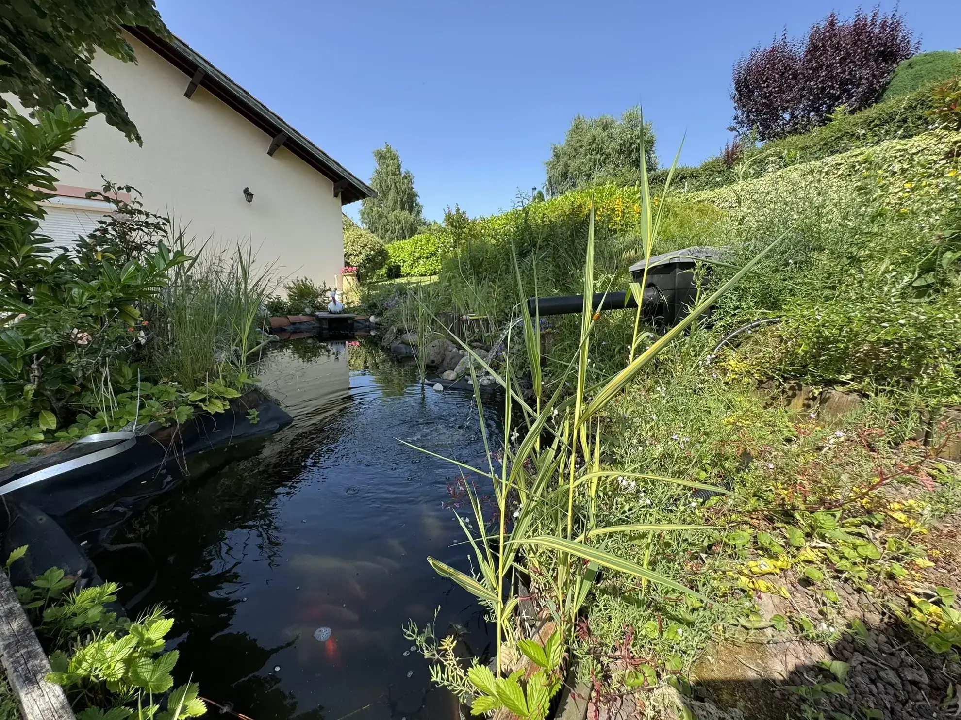 Maison familiale à Cours avec jardin et vue dégagée - Bien immobilier à vendre 