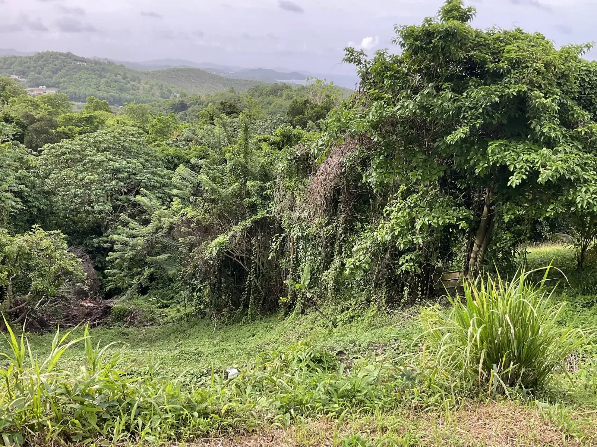 Terrain constructible de 999 m² à Le François avec vue mer 