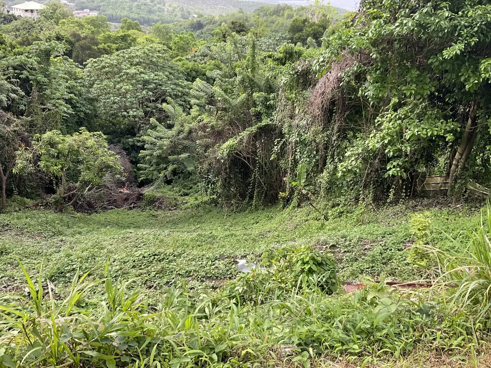 Terrain constructible de 999 m² à Le François avec vue mer 