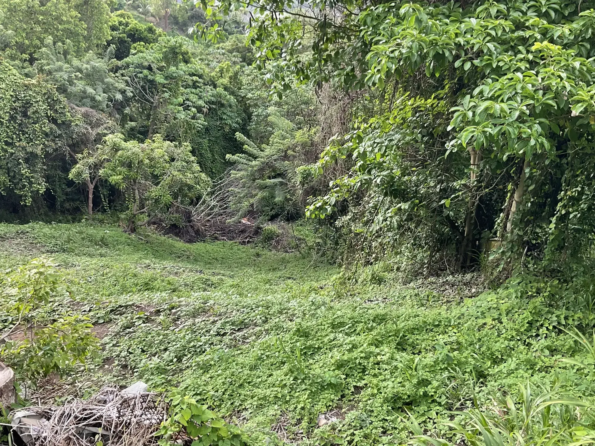 Terrain constructible de 999 m² à Le François avec vue mer 